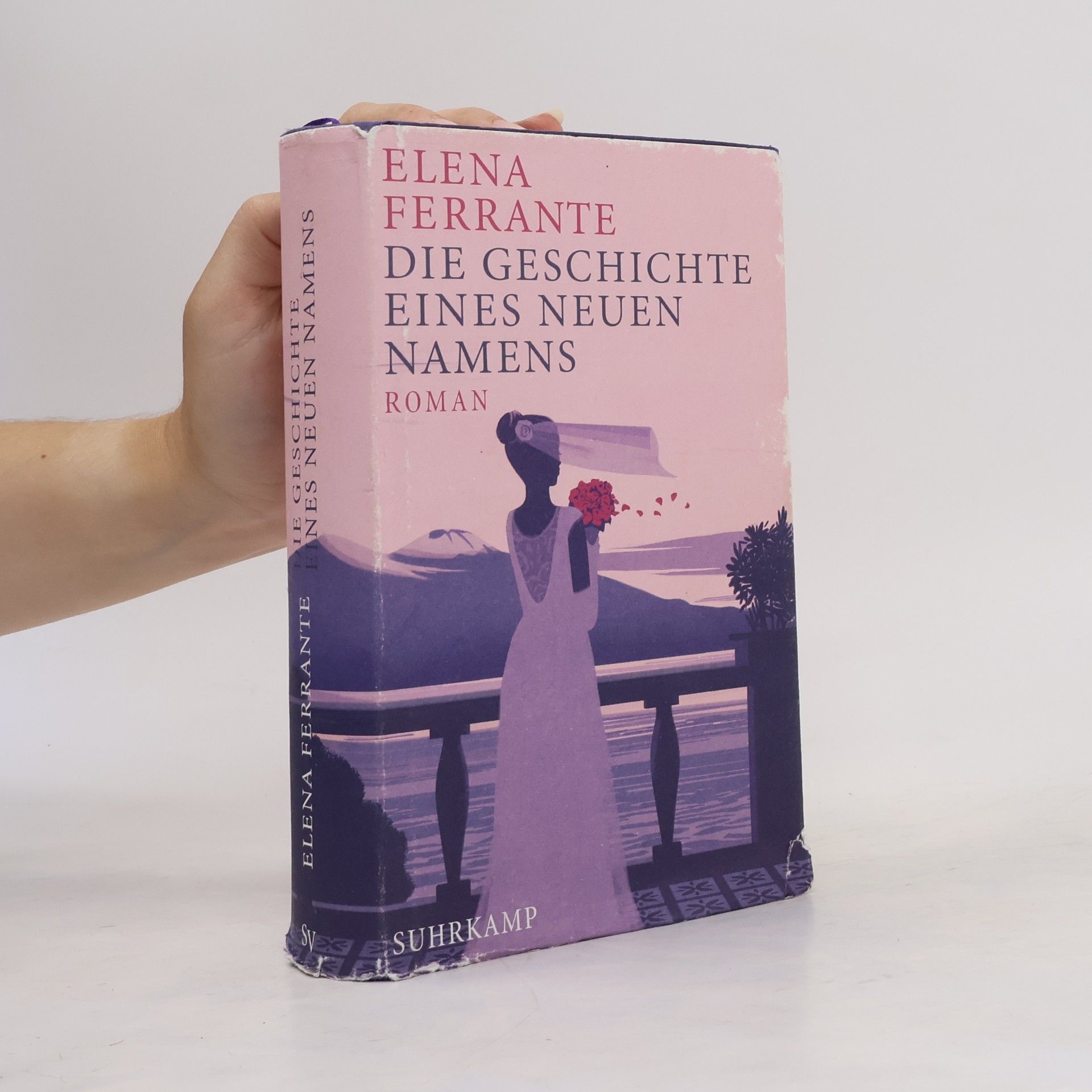 Elena Ferrante Die Geschichte eines neuen Namens: Jugendjahre
