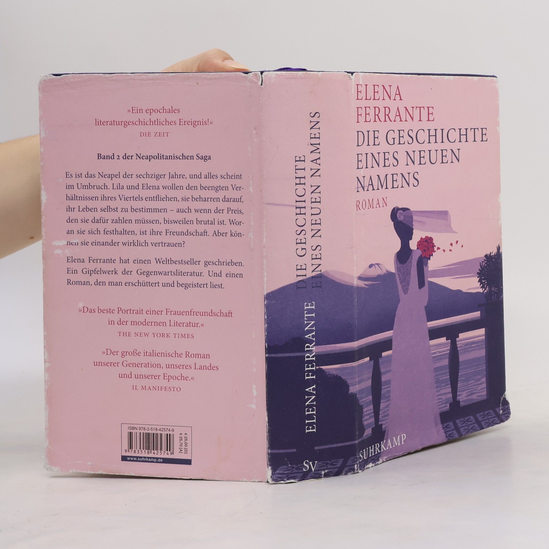 Elena Ferrante Die Geschichte eines neuen Namens: Jugendjahre