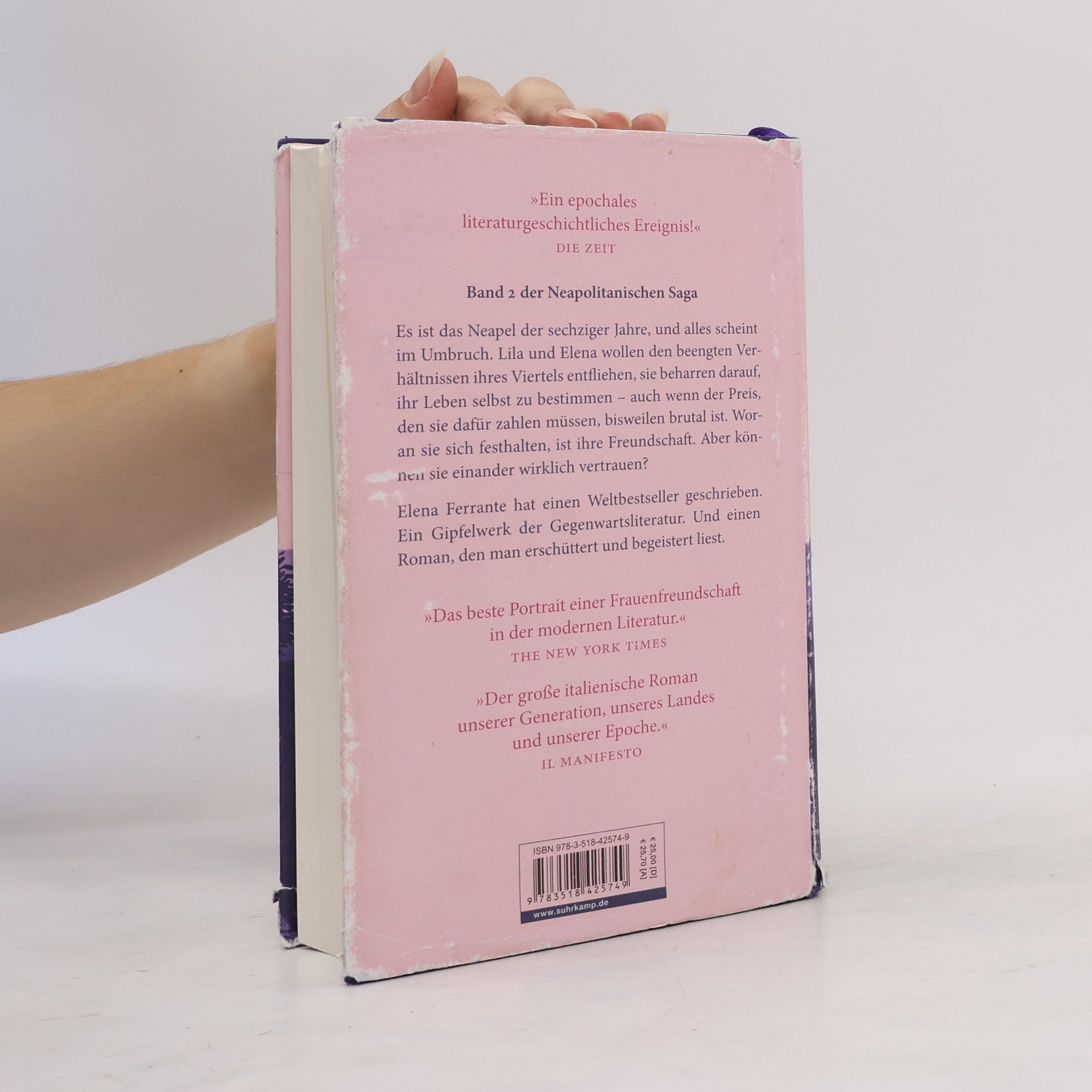 Elena Ferrante Die Geschichte eines neuen Namens: Jugendjahre