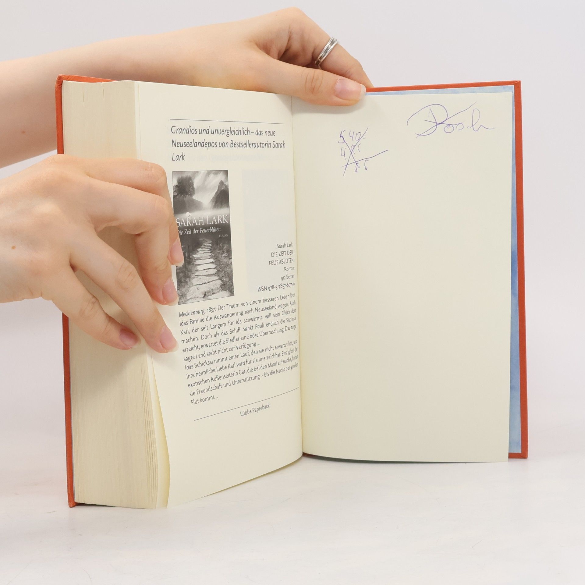 Elizabeth Haran Jenseits des leuchtenden Horizonts