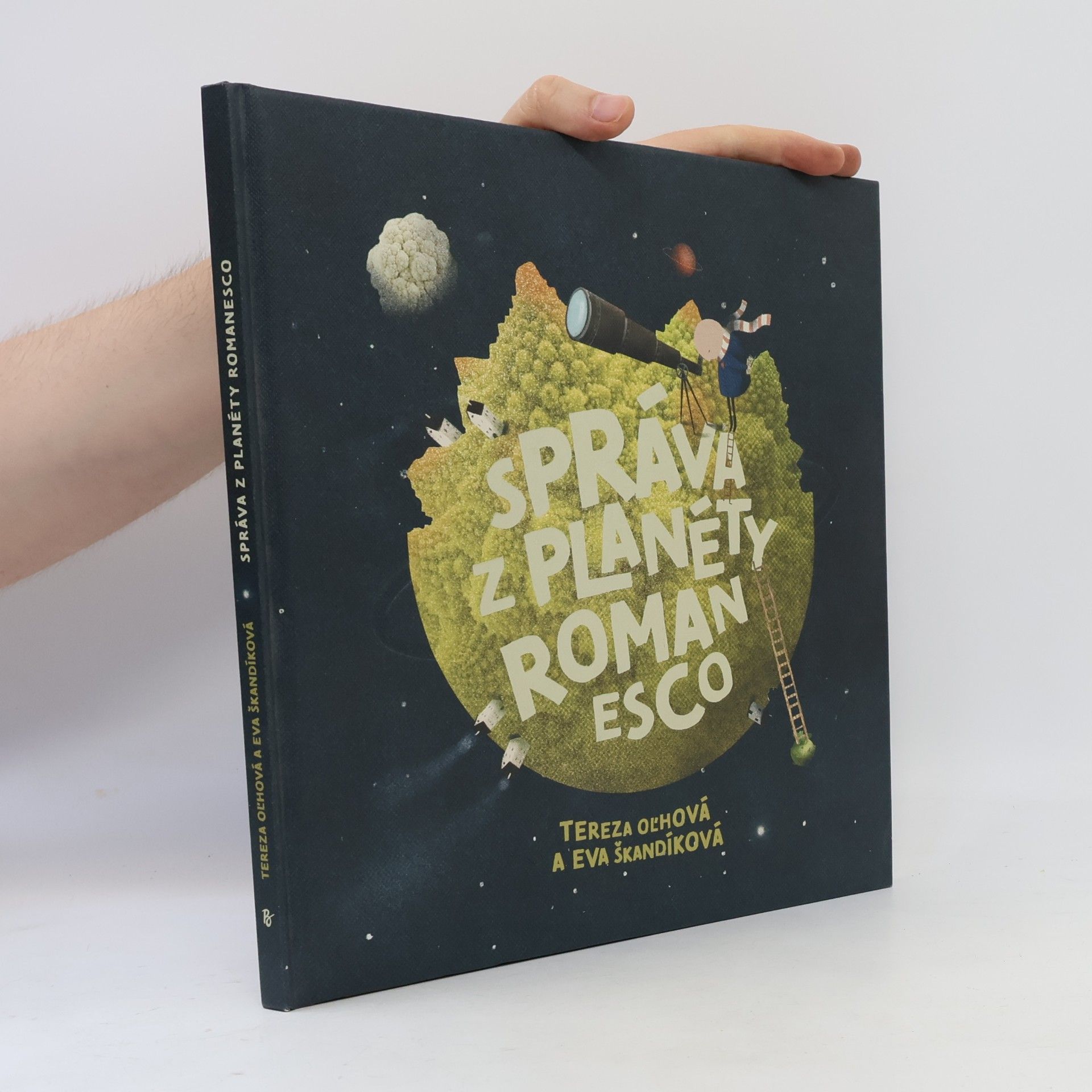 Správa z planéty Romanesco