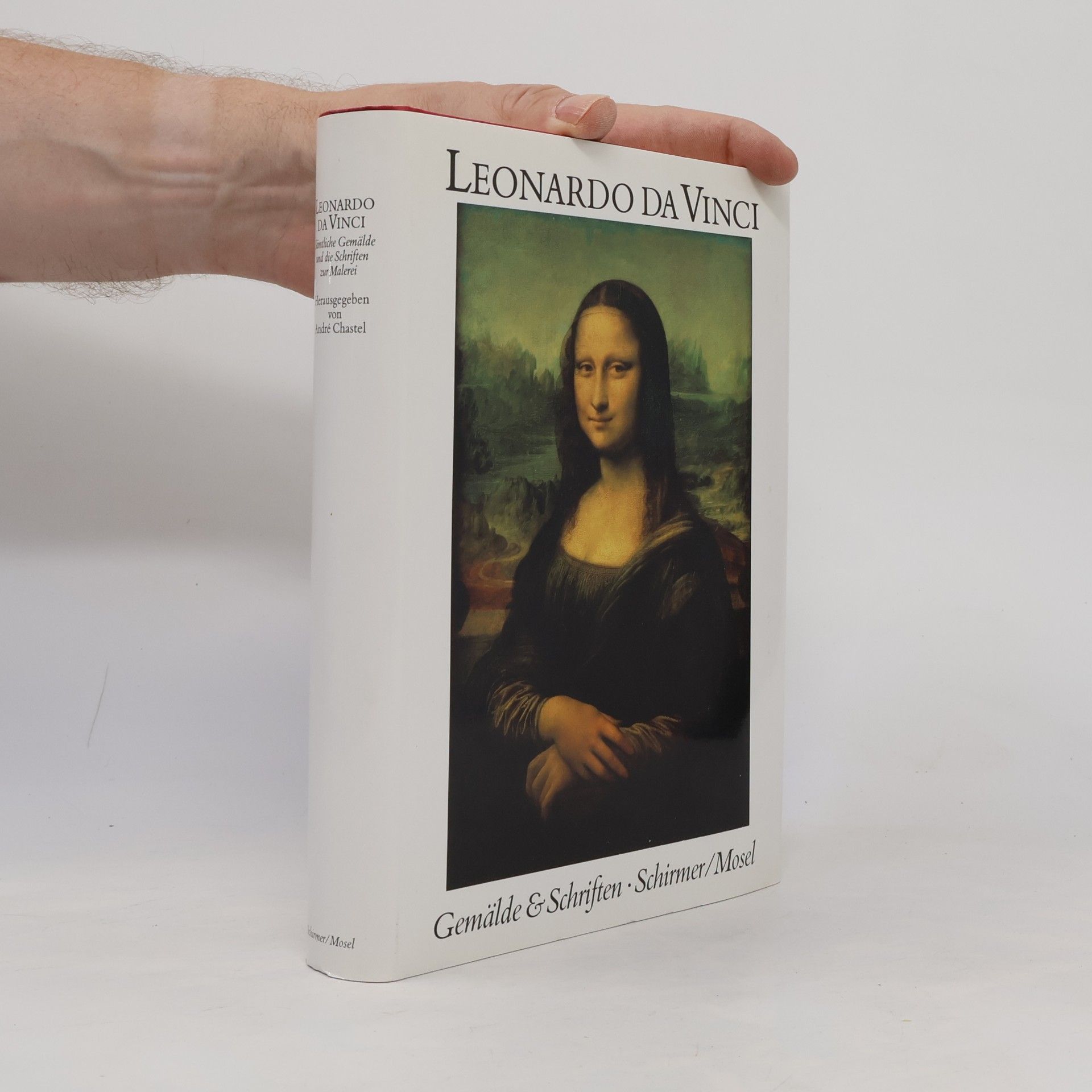 Leonardo da Vinci Sämtliche Gemälde und die Schriften zur Malerei