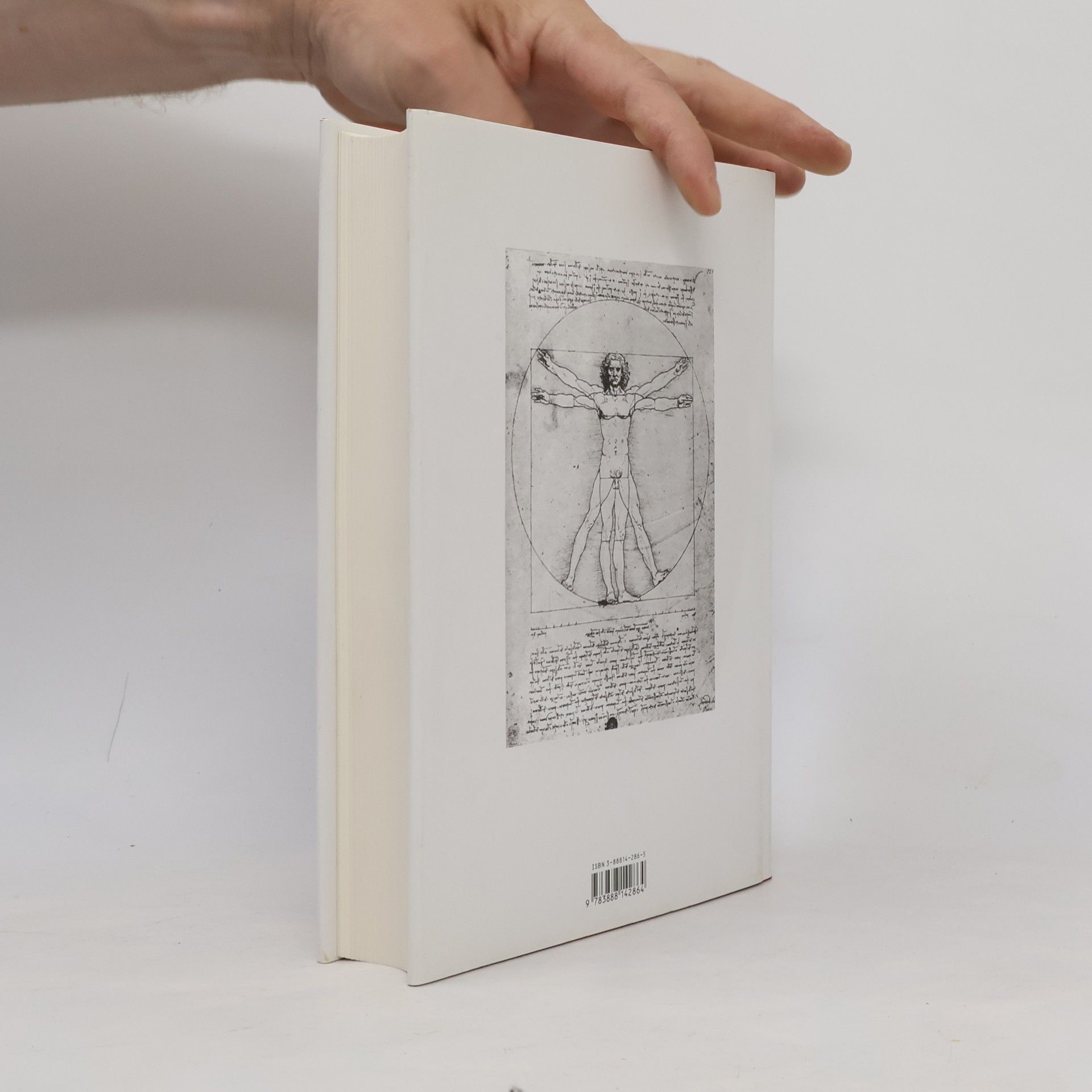 Leonardo da Vinci Sämtliche Gemälde und die Schriften zur Malerei