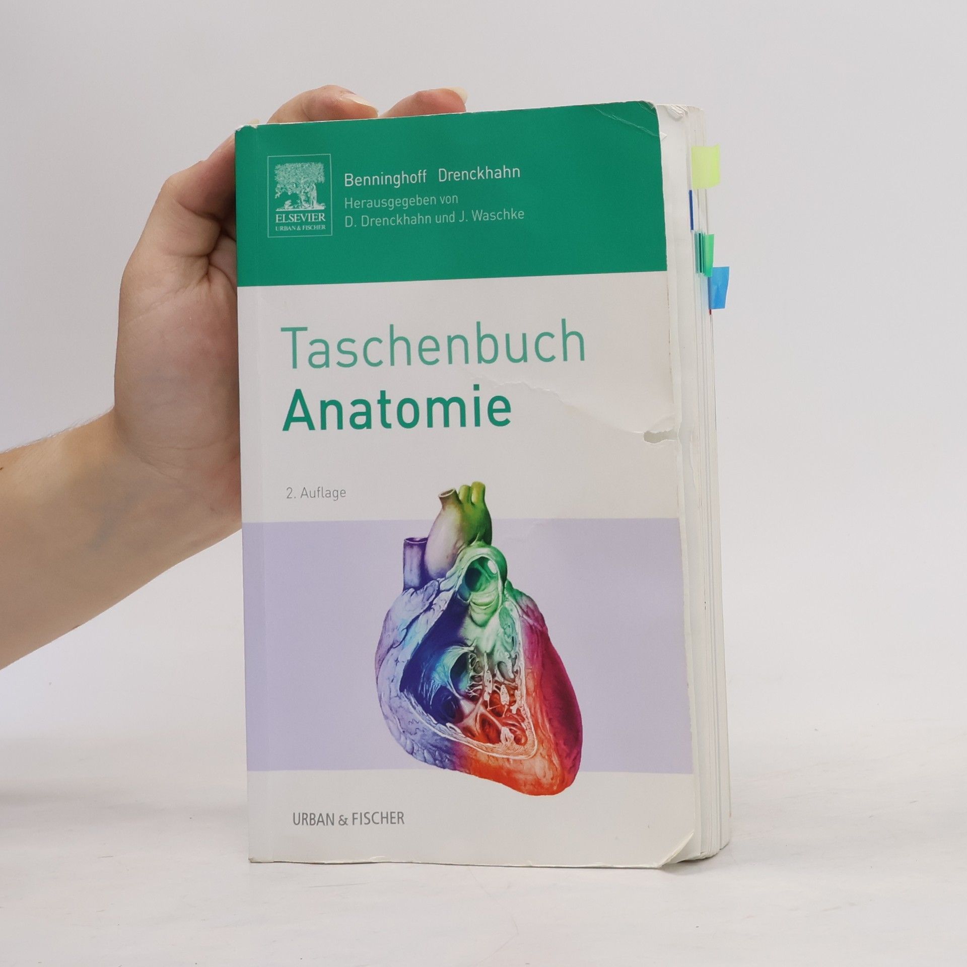Alfred Benninghoff Taschenbuch Anatomie