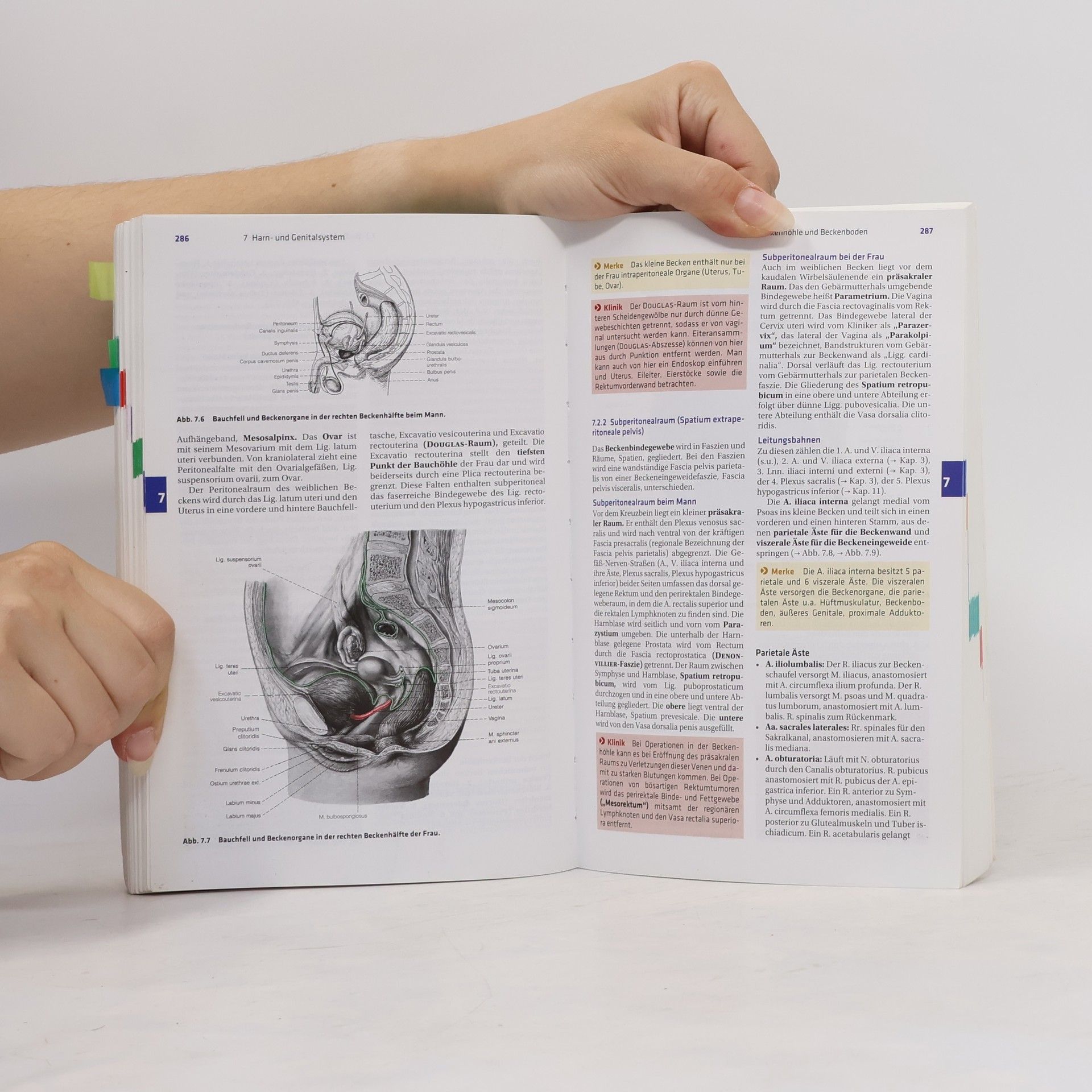 Alfred Benninghoff Taschenbuch Anatomie