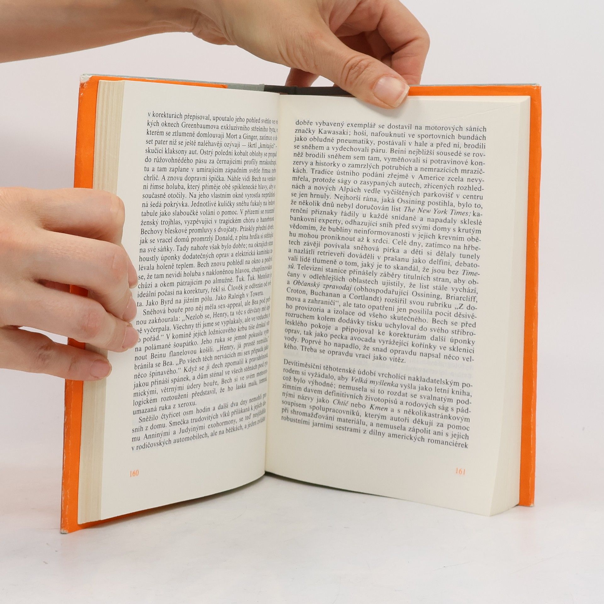 John Updike Milenci a manželé