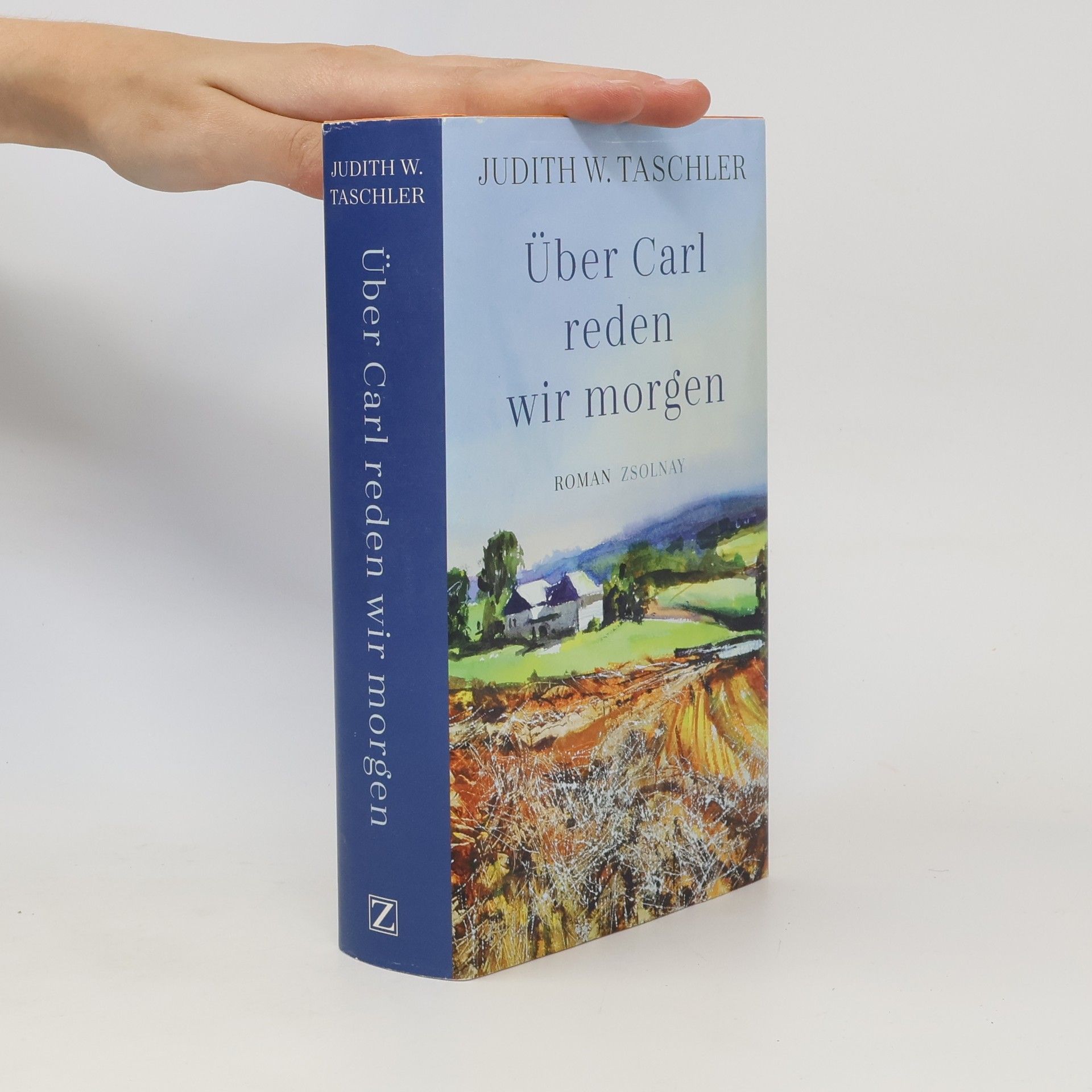 Judith W Taschler Über Carl reden wir morgen