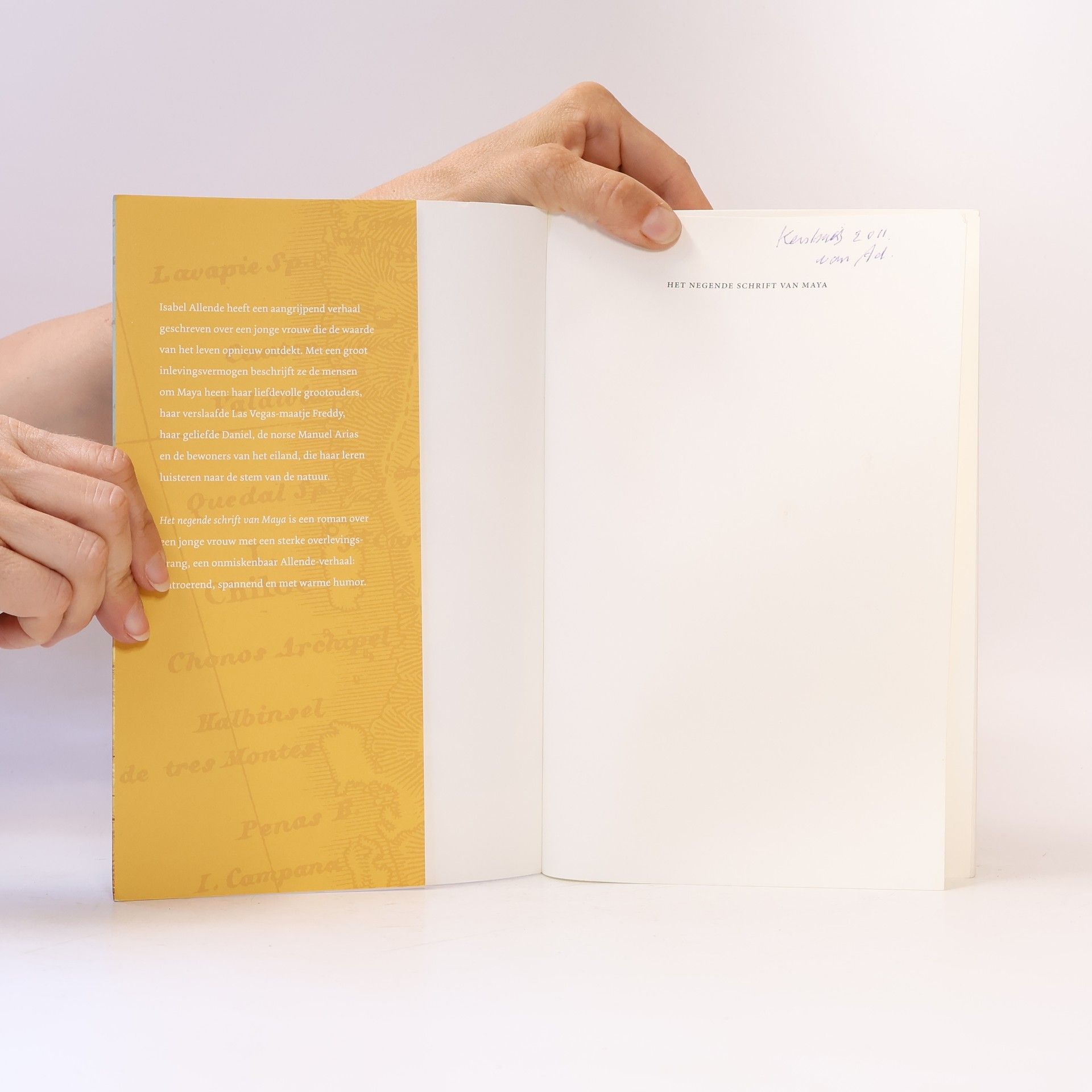 Rikkie Degenaar Het negende schrift van Maya