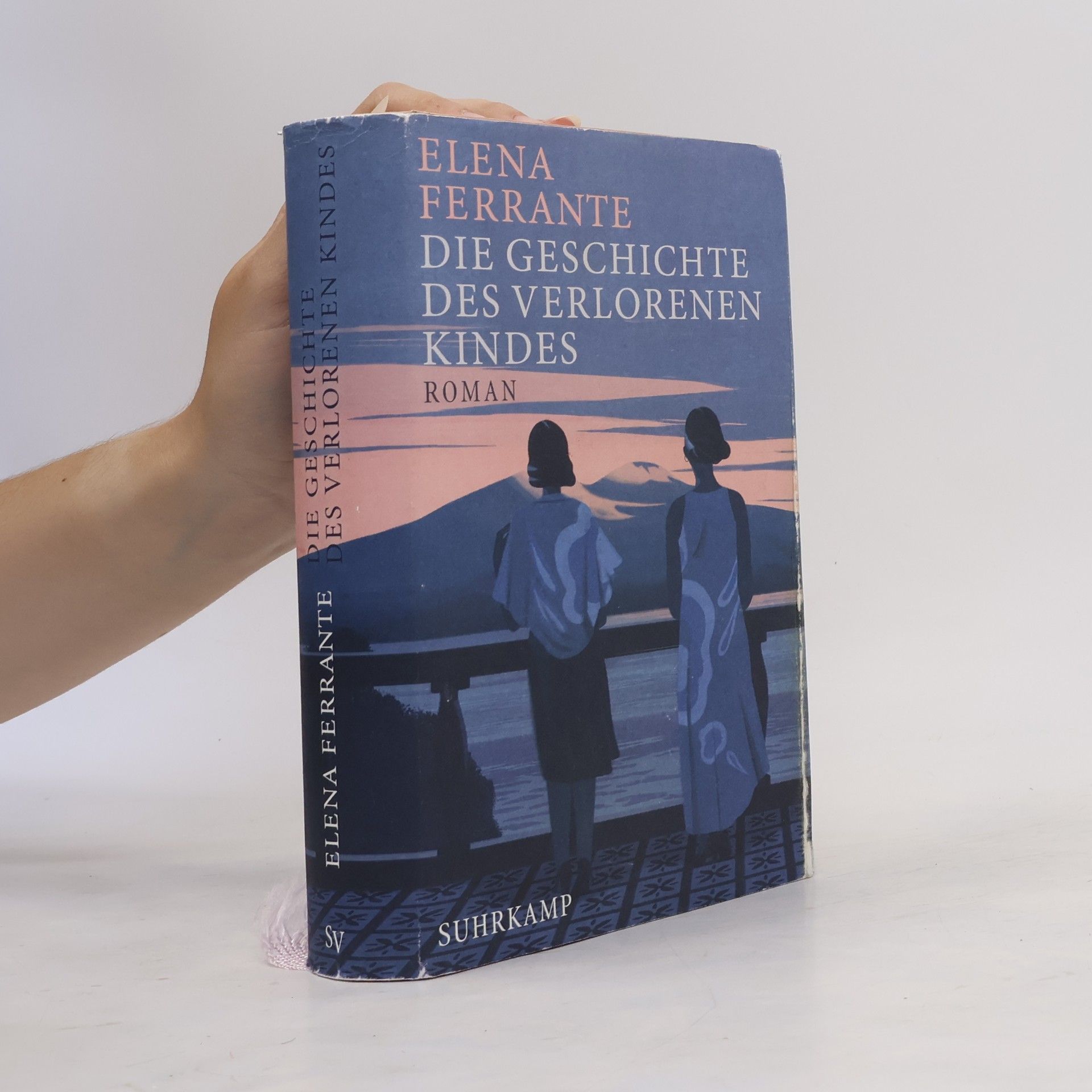 Elena Ferrante Die Geschichte Des Verlorenen Kindes