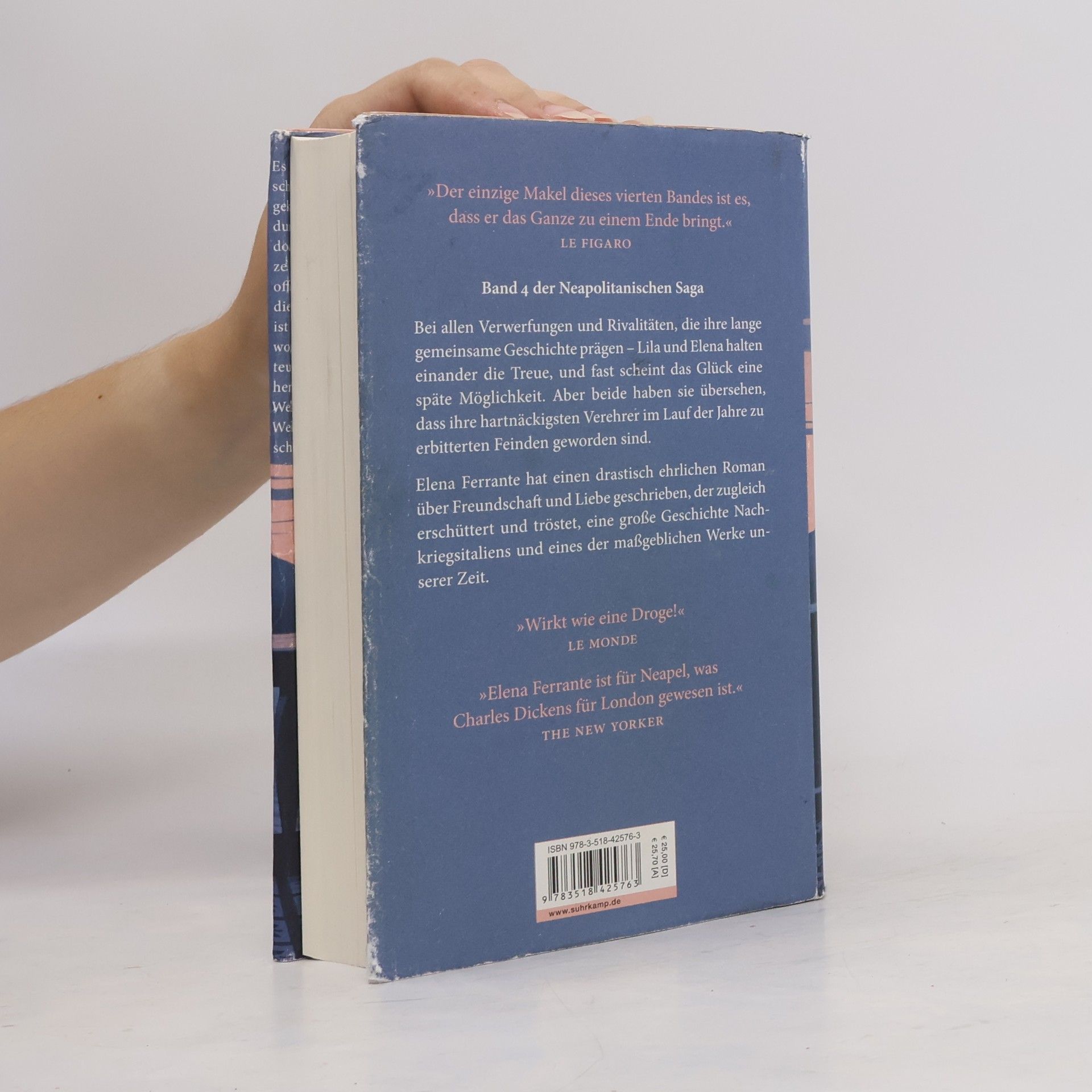 Elena Ferrante Die Geschichte Des Verlorenen Kindes