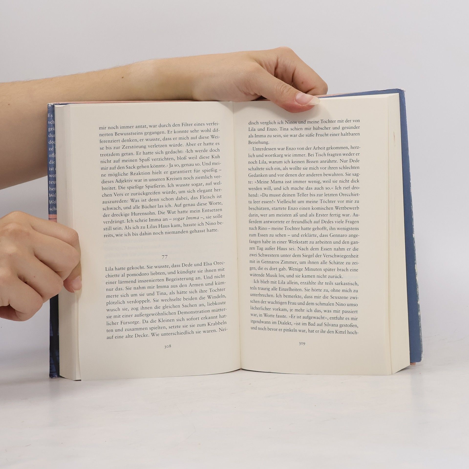 Elena Ferrante Die Geschichte Des Verlorenen Kindes
