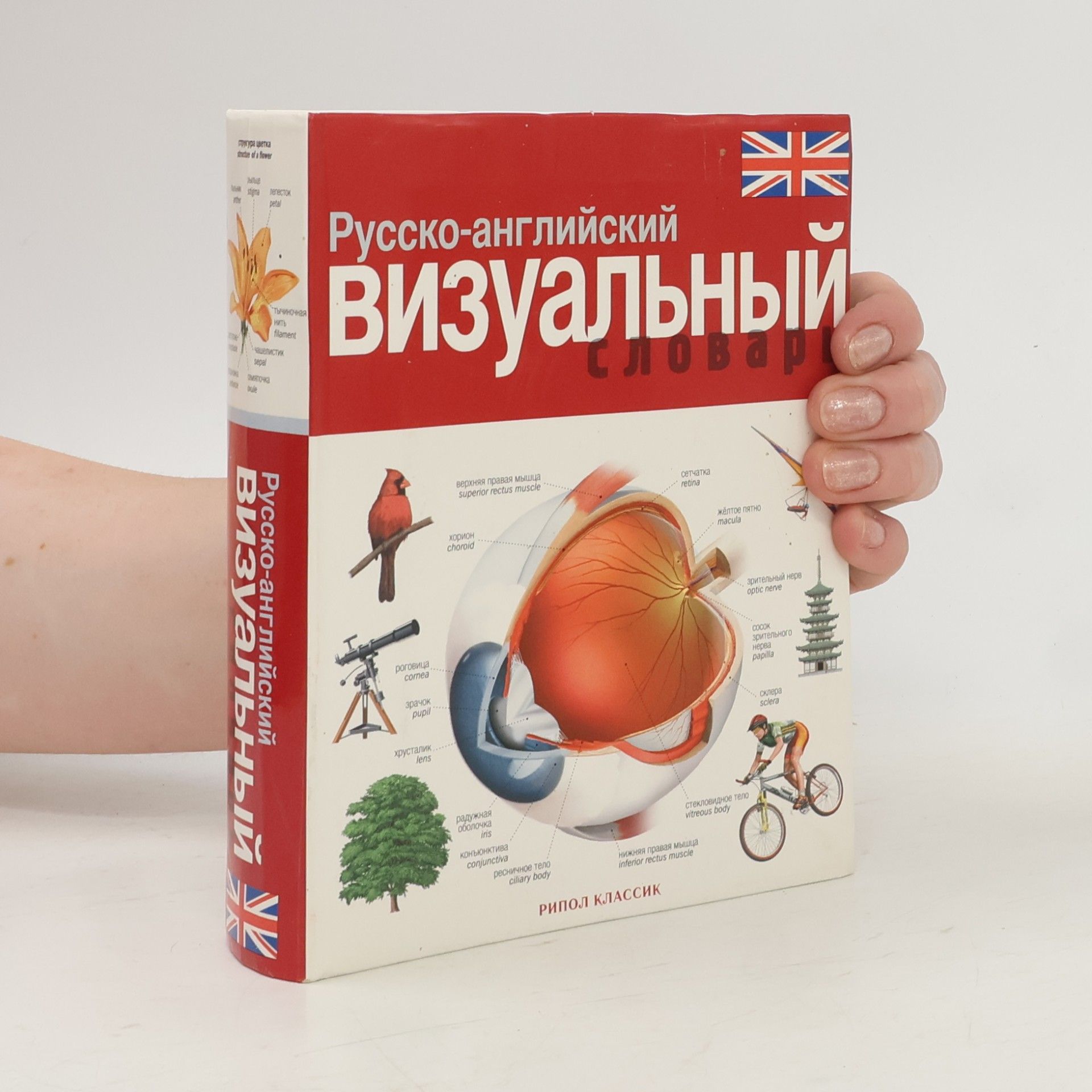 Kolektiv autorů Russko-angliyskiy vizual'nyy slovar' / Русско-английский визуальный словарь
