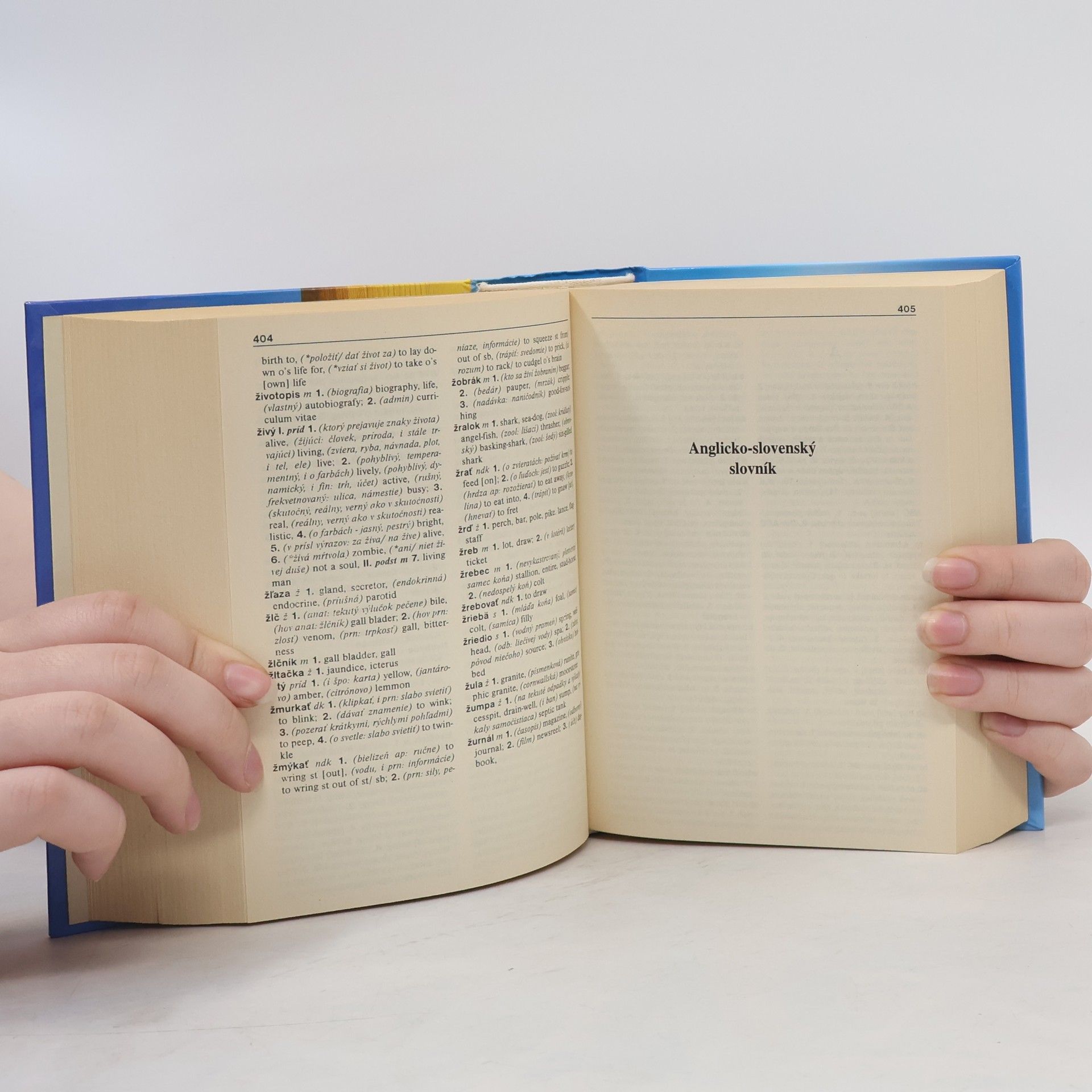 Aliberto Caforio A Learner's Dictionary of English