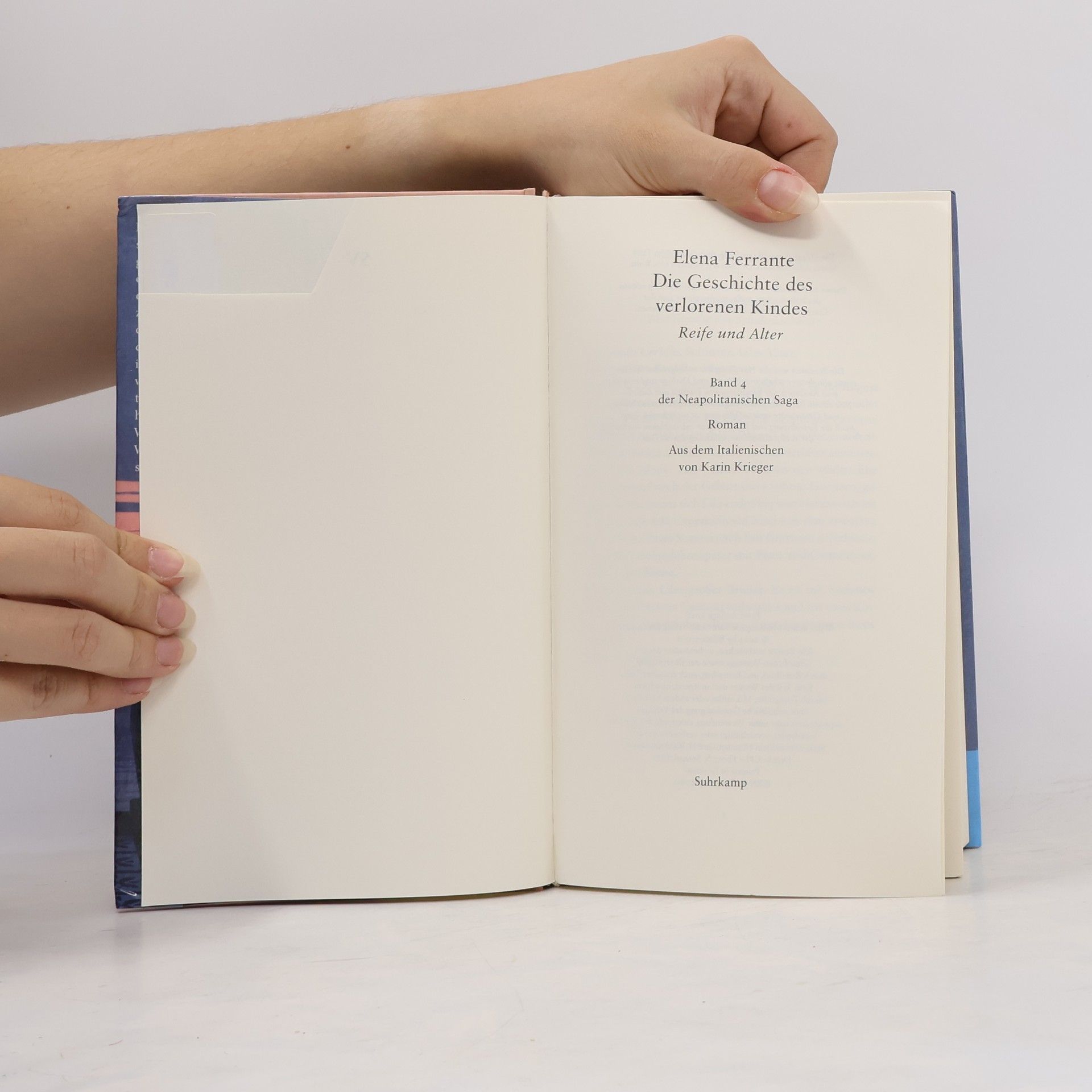 Elena Ferrante Die Geschichte Des Verlorenen Kindes