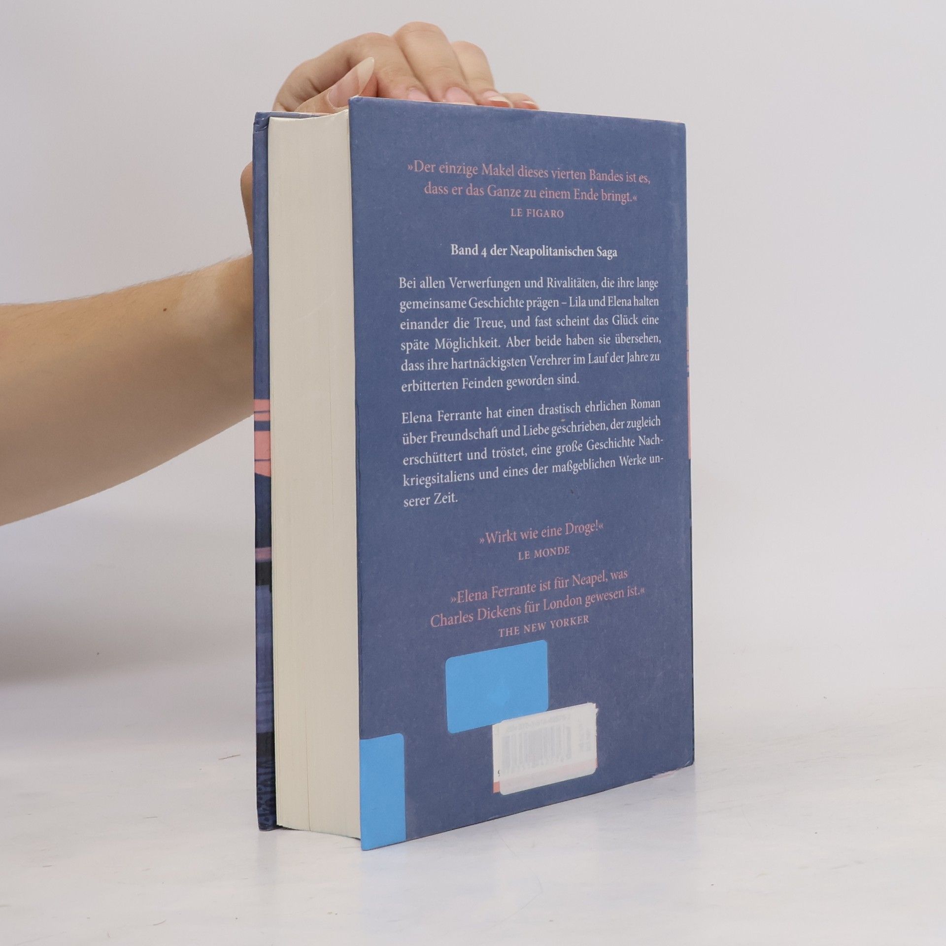 Elena Ferrante Die Geschichte Des Verlorenen Kindes