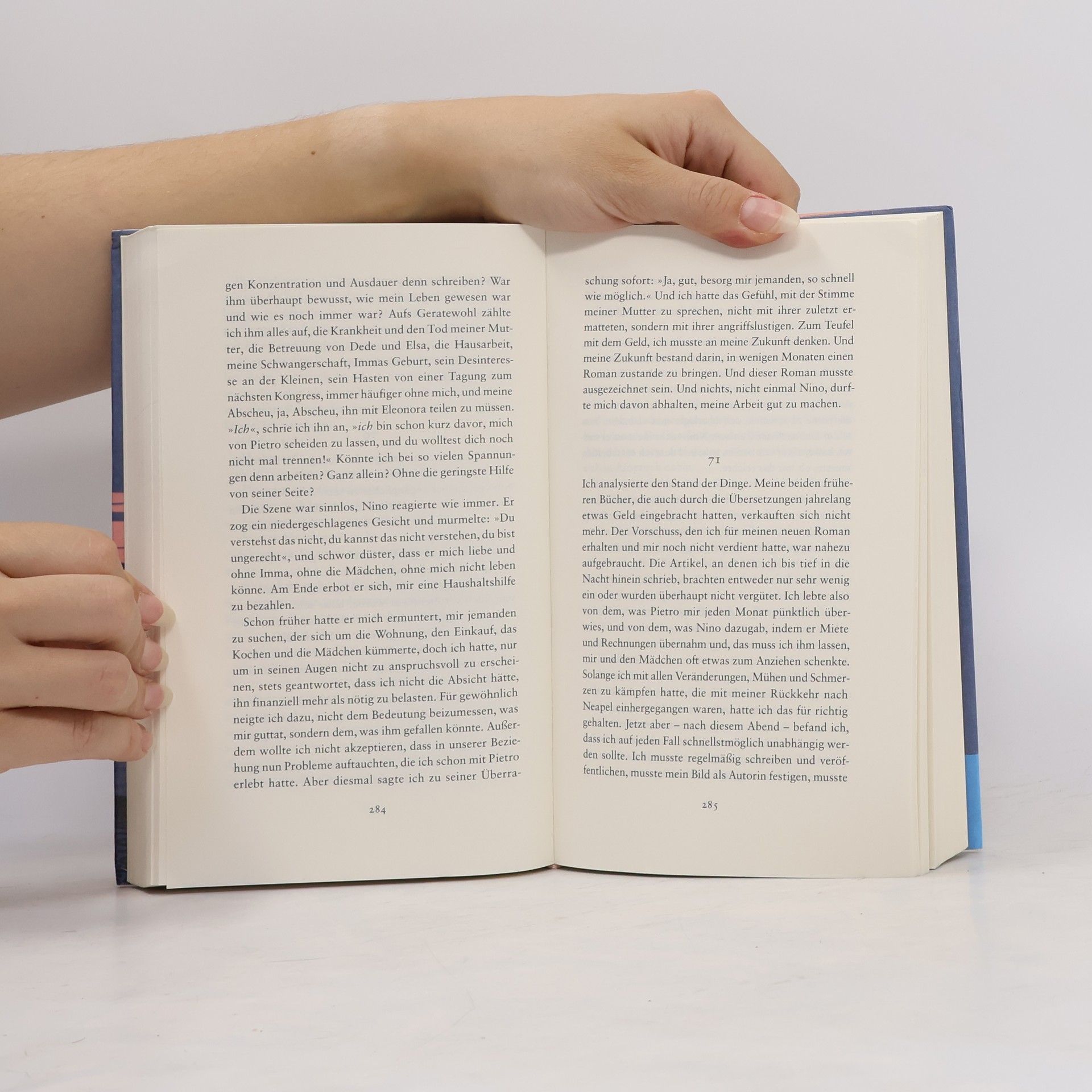 Elena Ferrante Die Geschichte Des Verlorenen Kindes