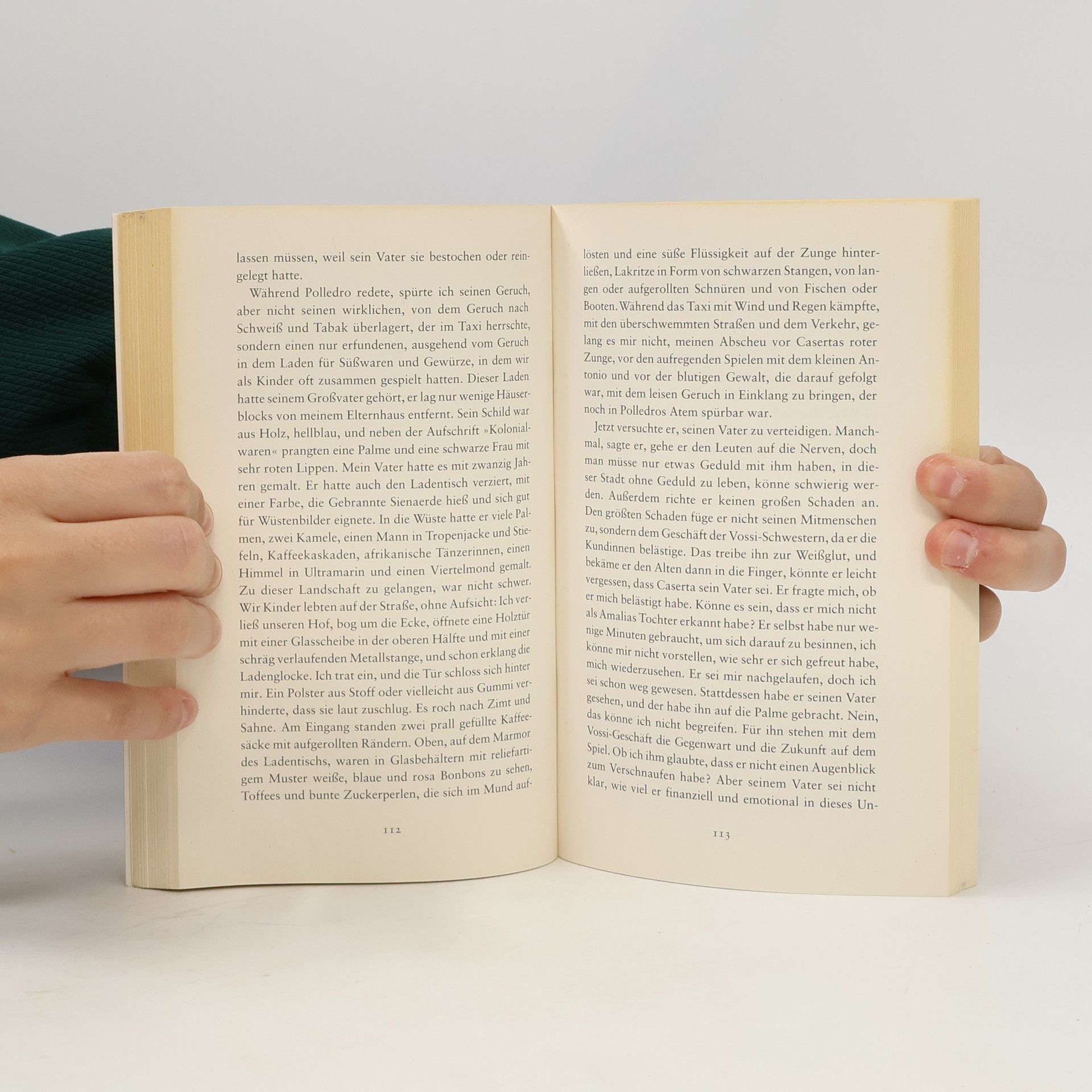 Elena Ferrante Lästige Liebe