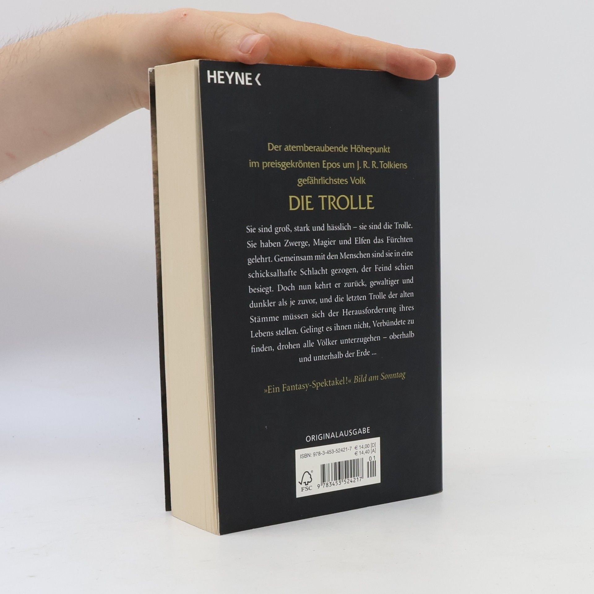 Christoph Hardebusch Der Zorn der Trolle