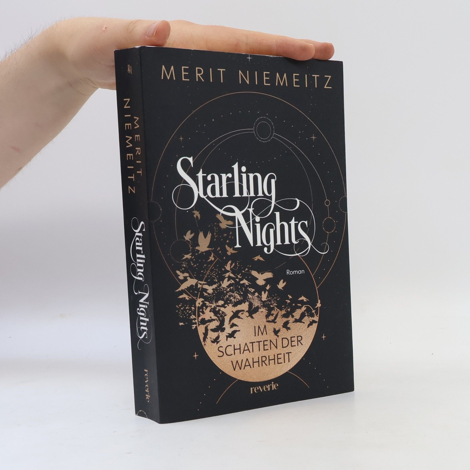 Merit Niemeitz Starling Nights 1