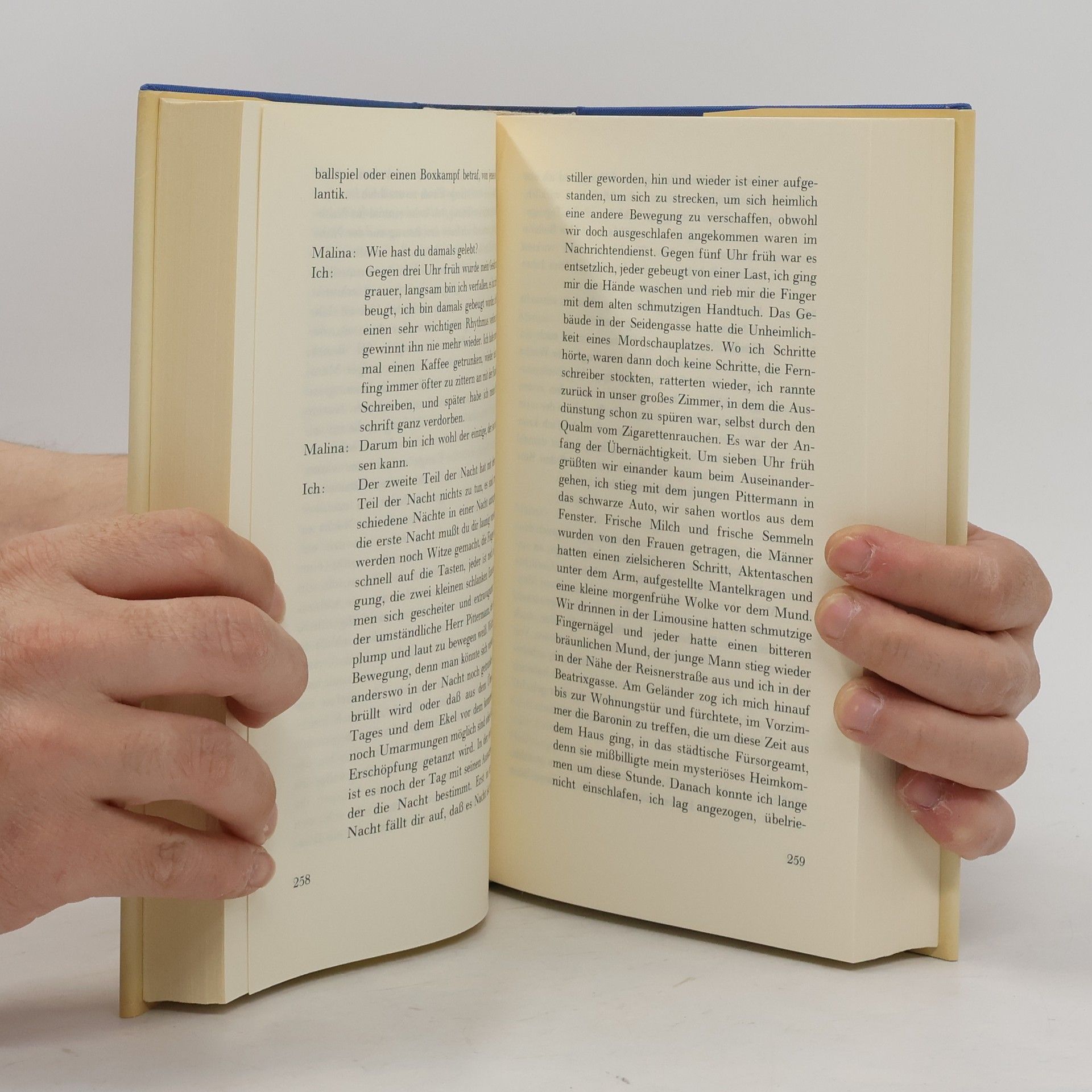 Ingeborg Bachmann Werke 3
