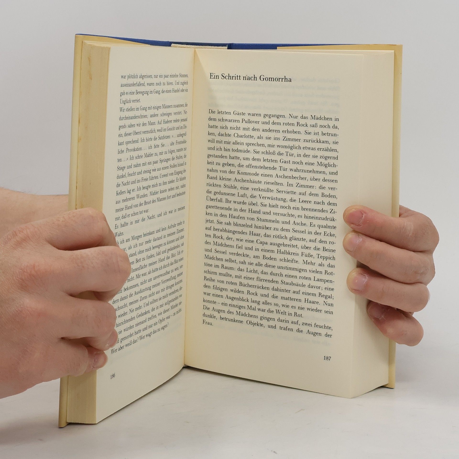 Ingeborg Bachmann Werke 3