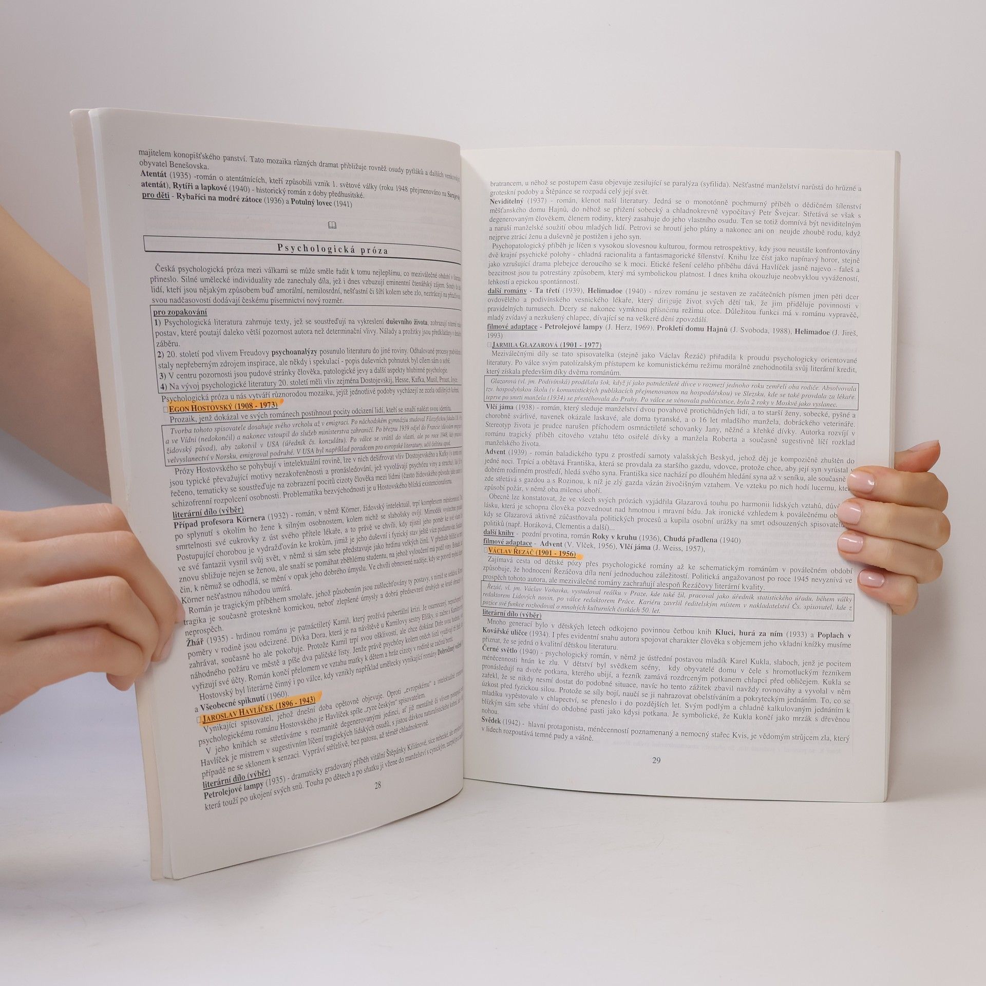 Vladimír Prokop Přehled české literatury 20. století