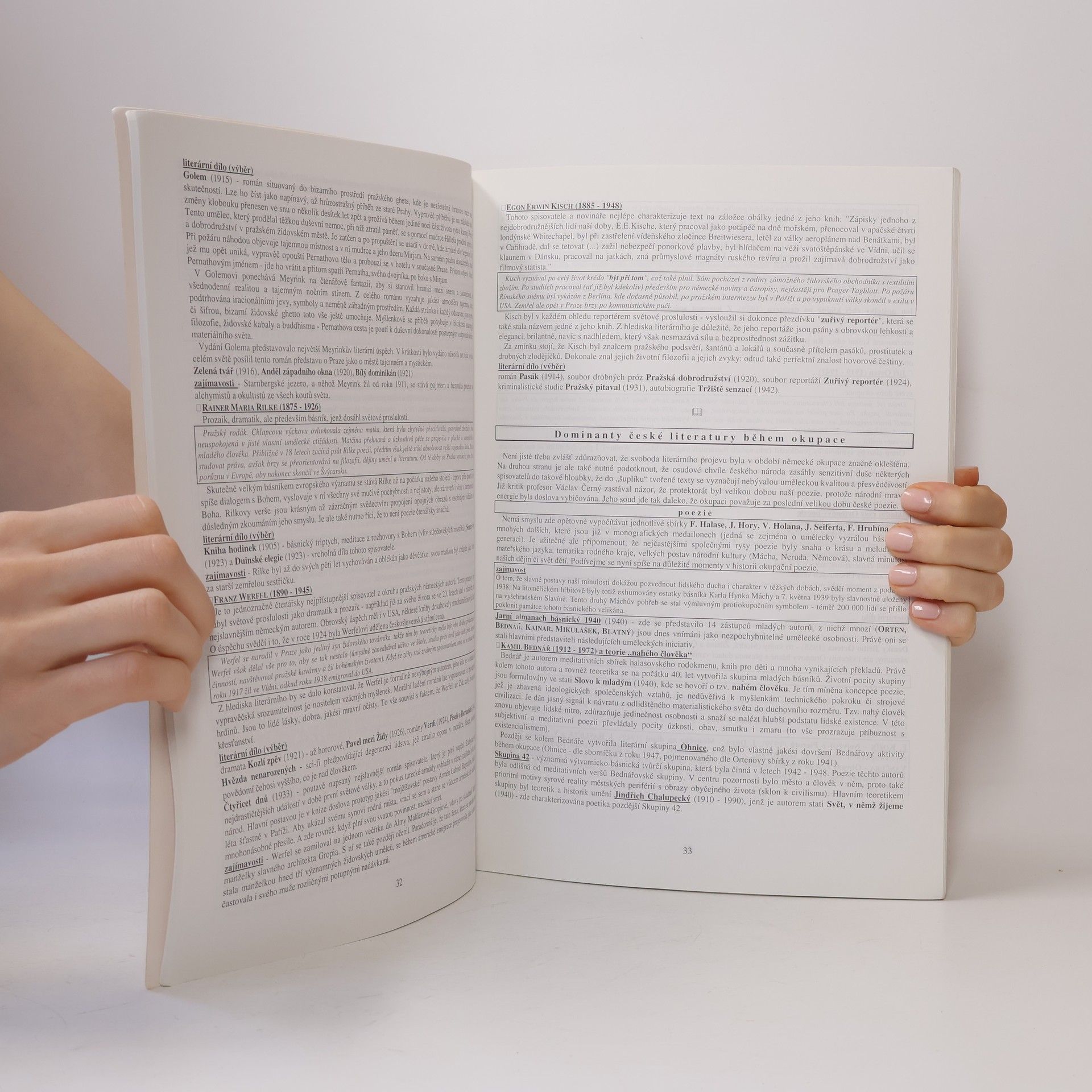 Vladimír Prokop Přehled české literatury 20. století