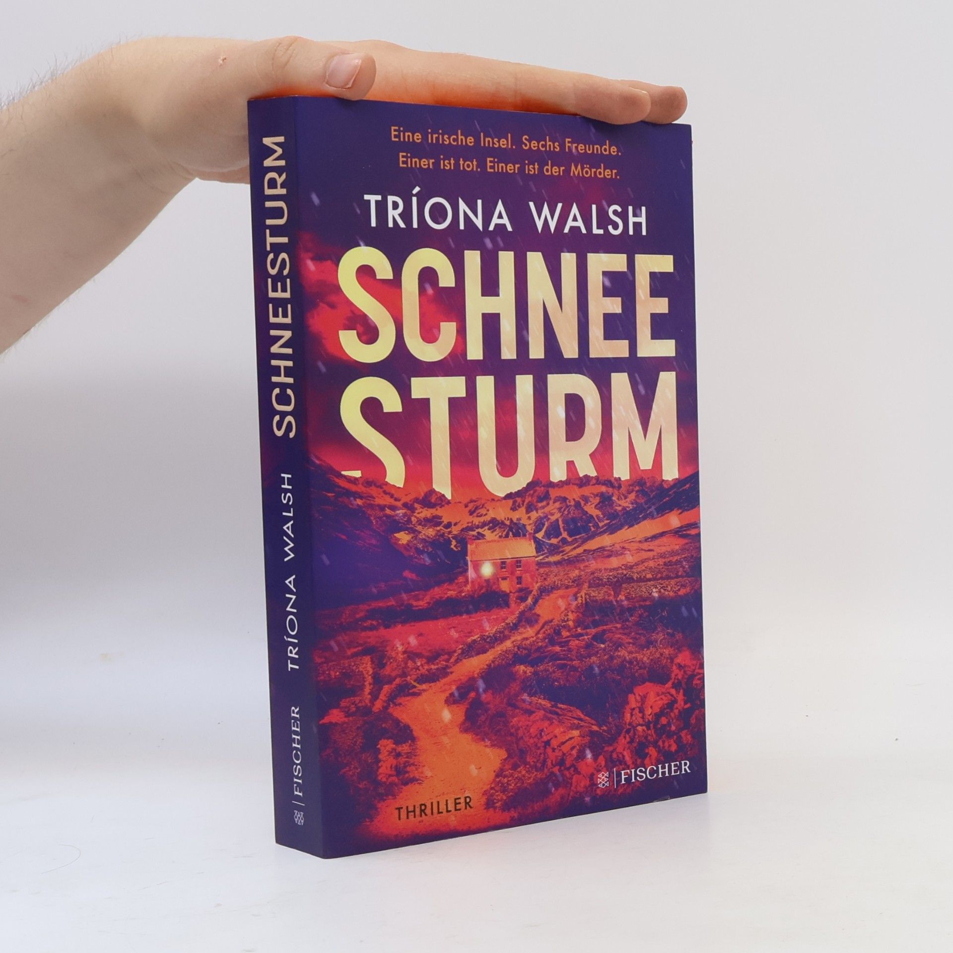 Tríona Walsh Schneesturm