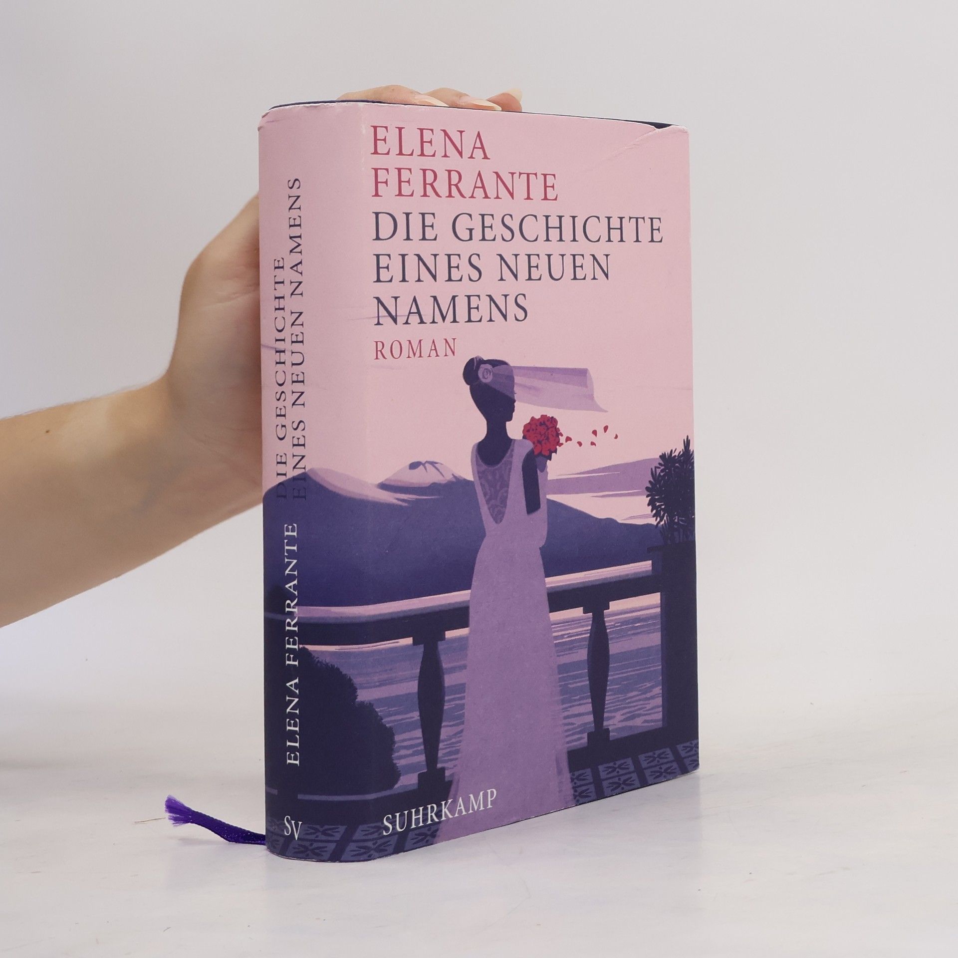 Elena Ferrante Die Geschichte eines neuen Namens: Jugendjahre