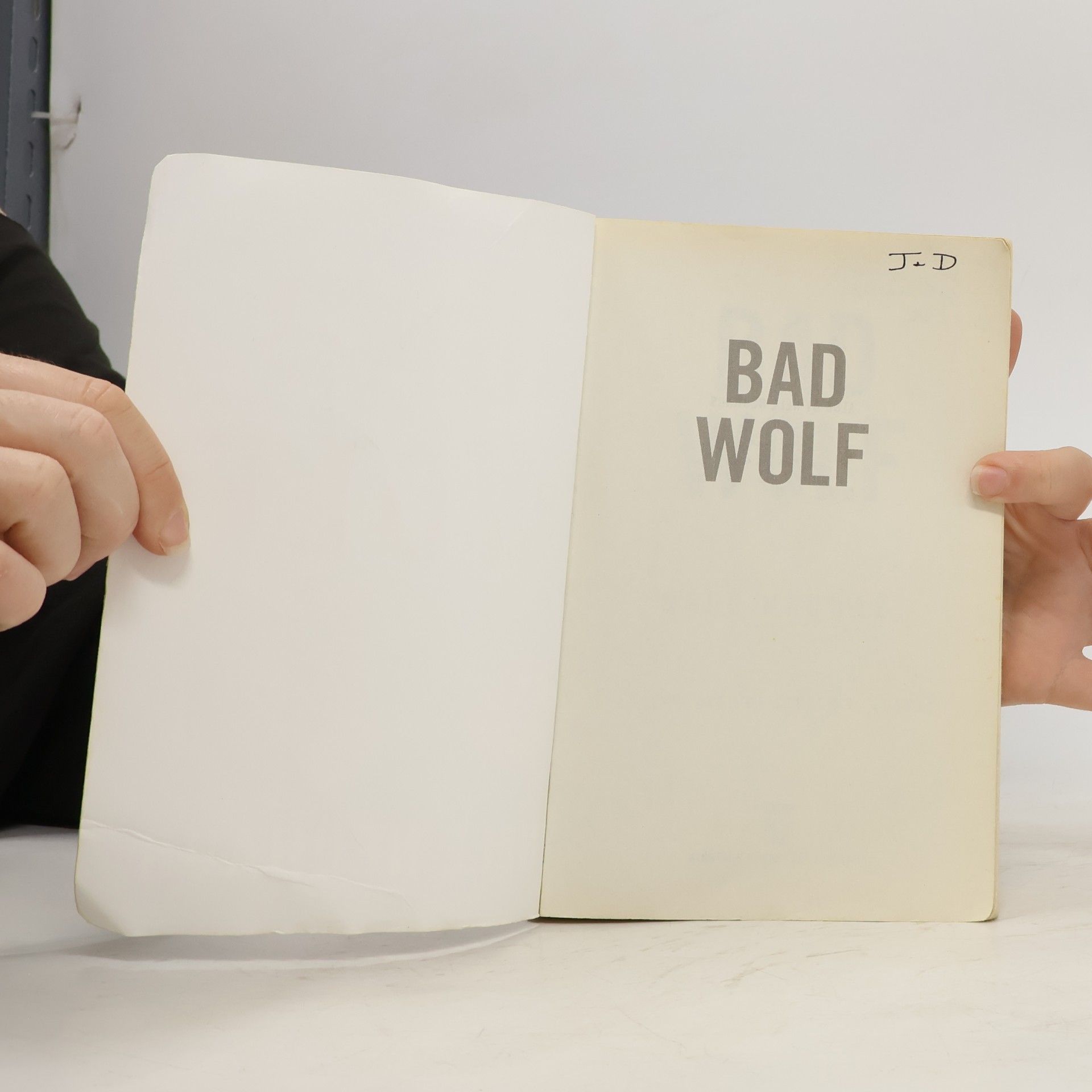 Nele Neuhaus Bad Wolf