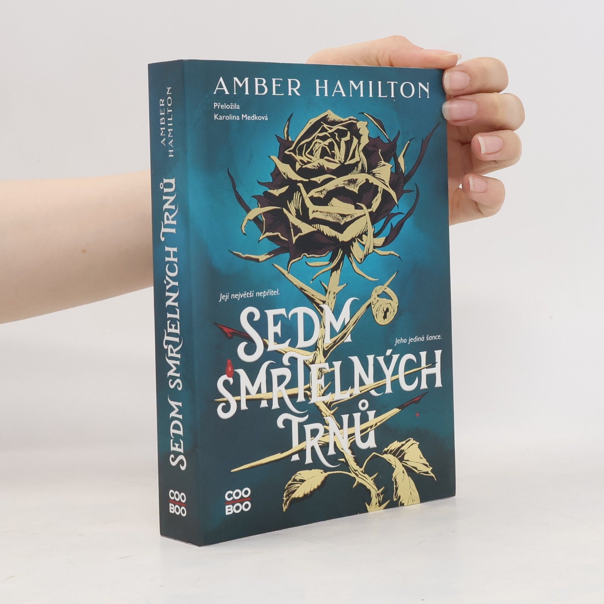 Amber Hamilton Sedm smrtelných trnů