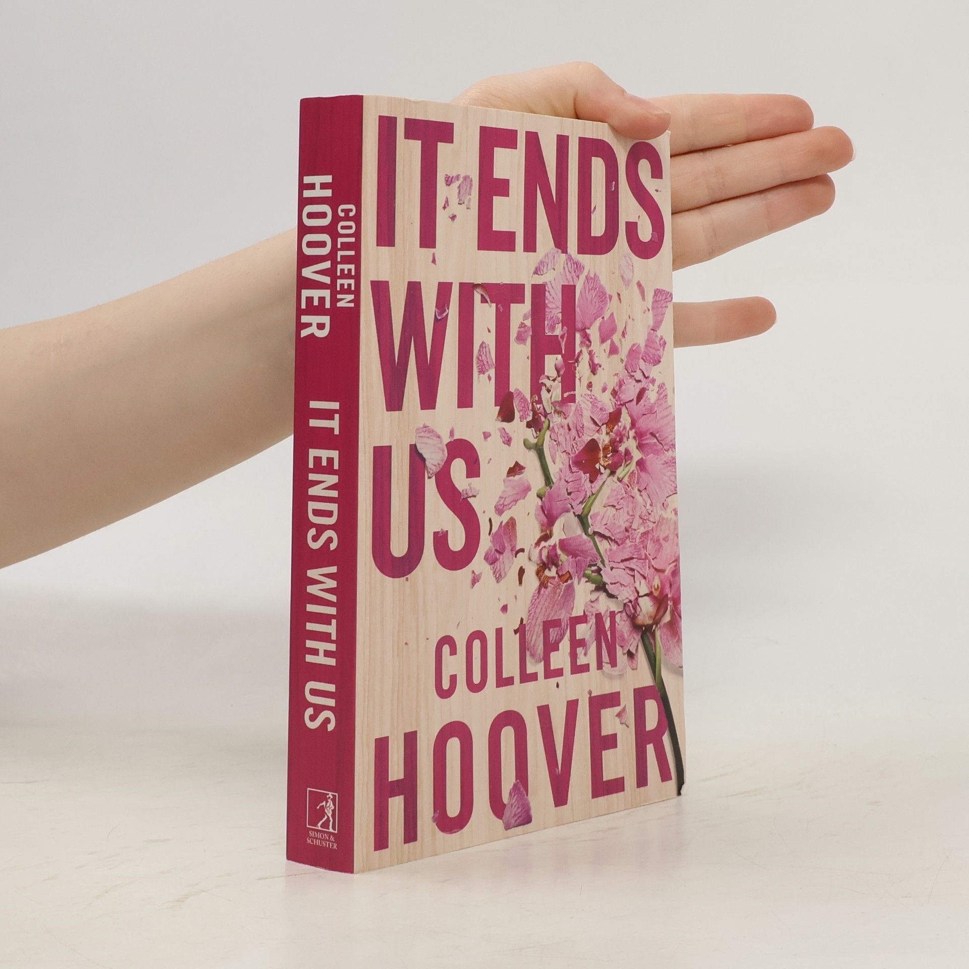 Colleen Hoover It Ends With Us