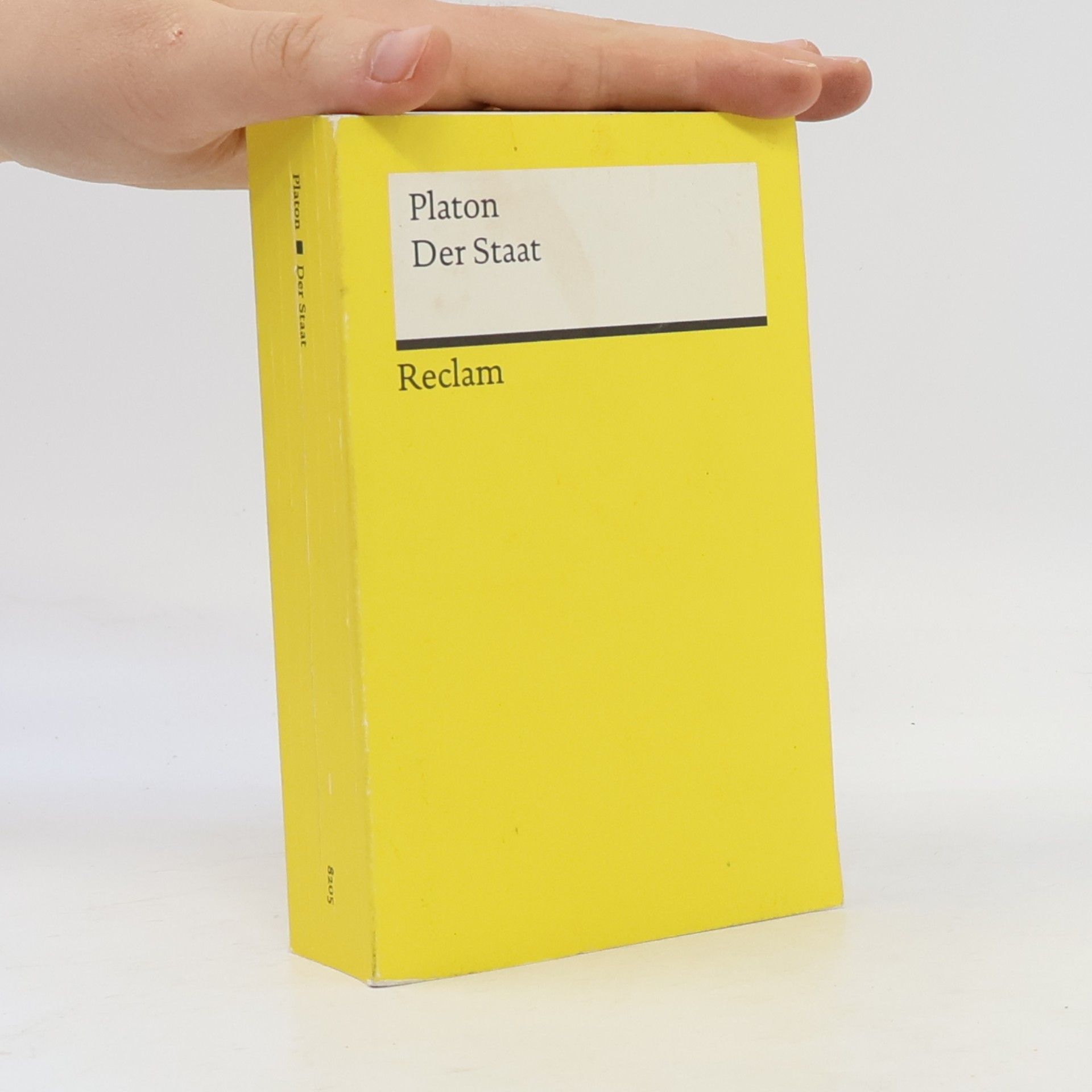 Platón Der Staat