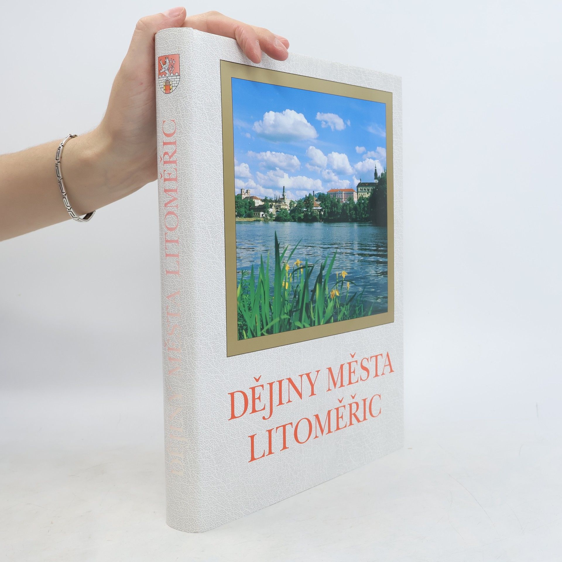 Various authors Dějiny města Litoměřic