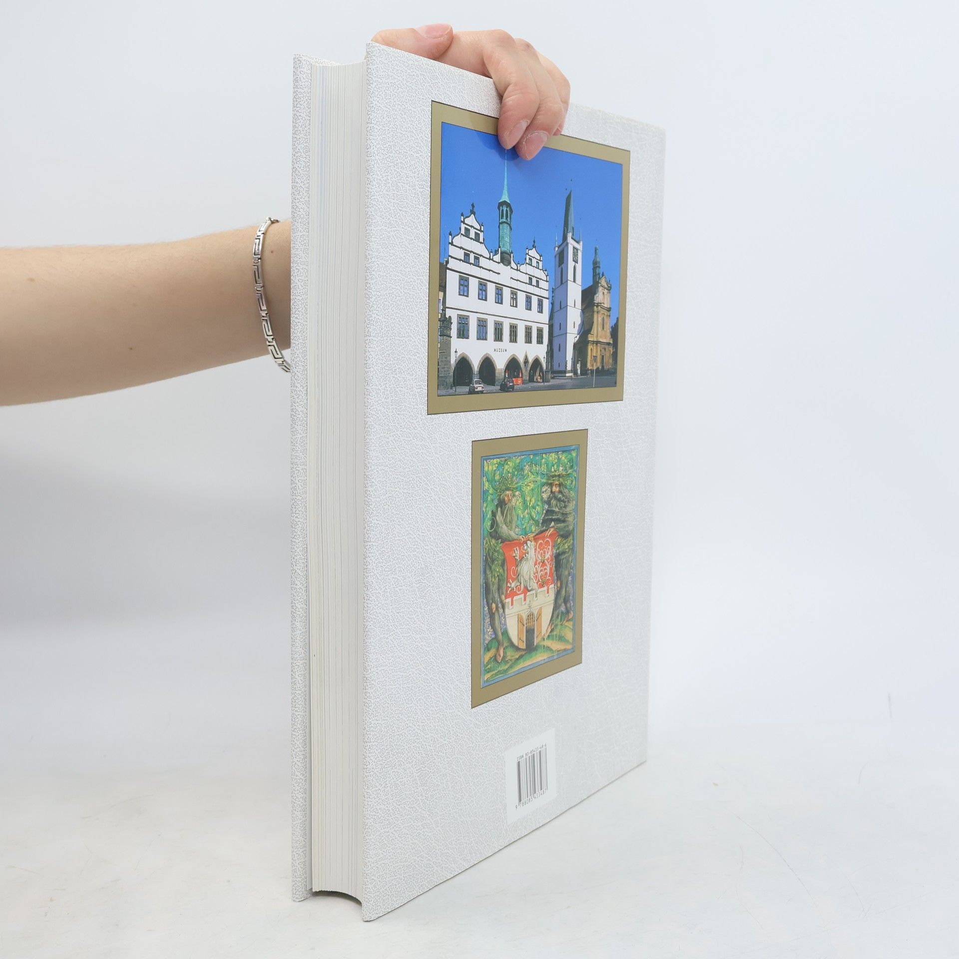 Autores varios Dějiny města Litoměřic