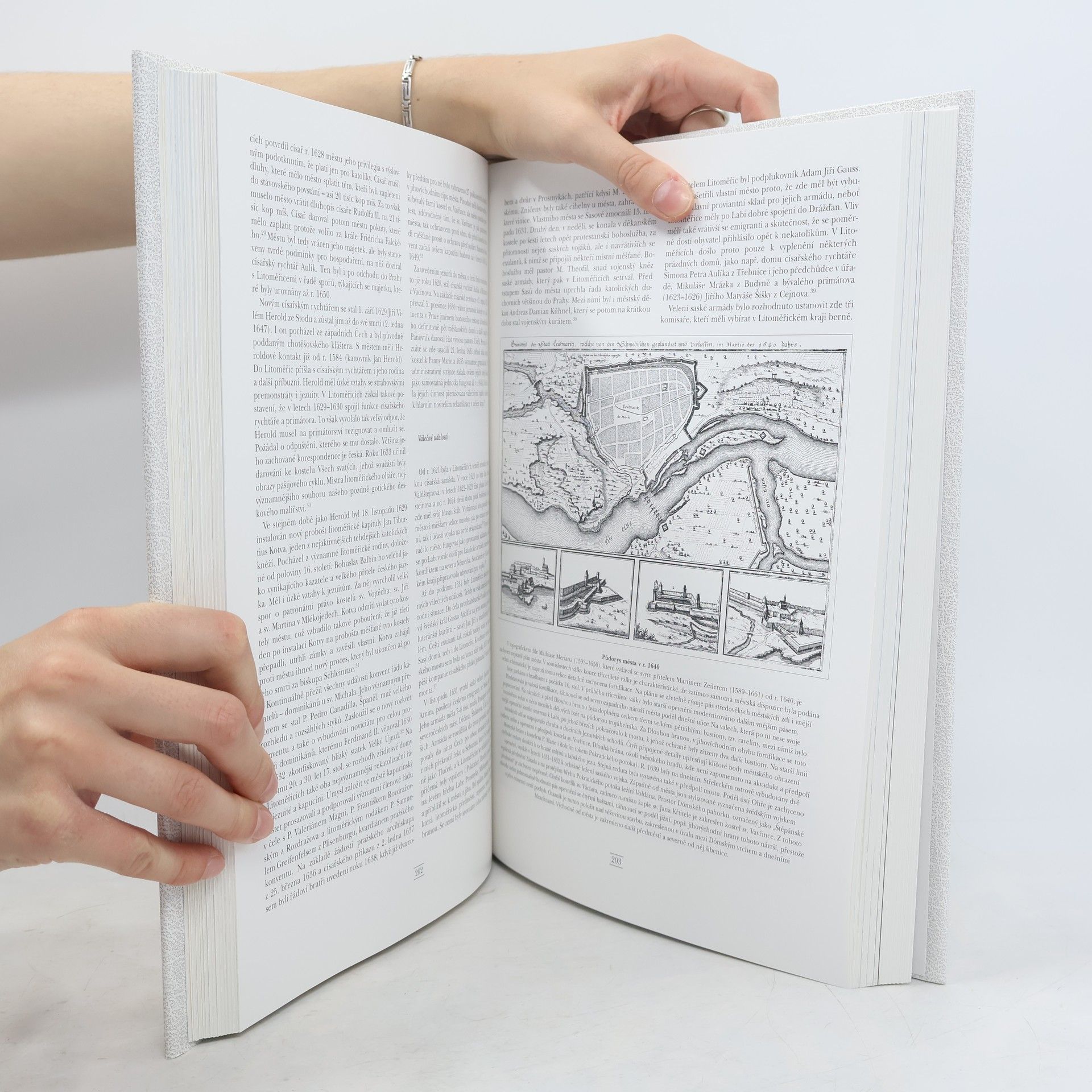 Autores varios Dějiny města Litoměřic