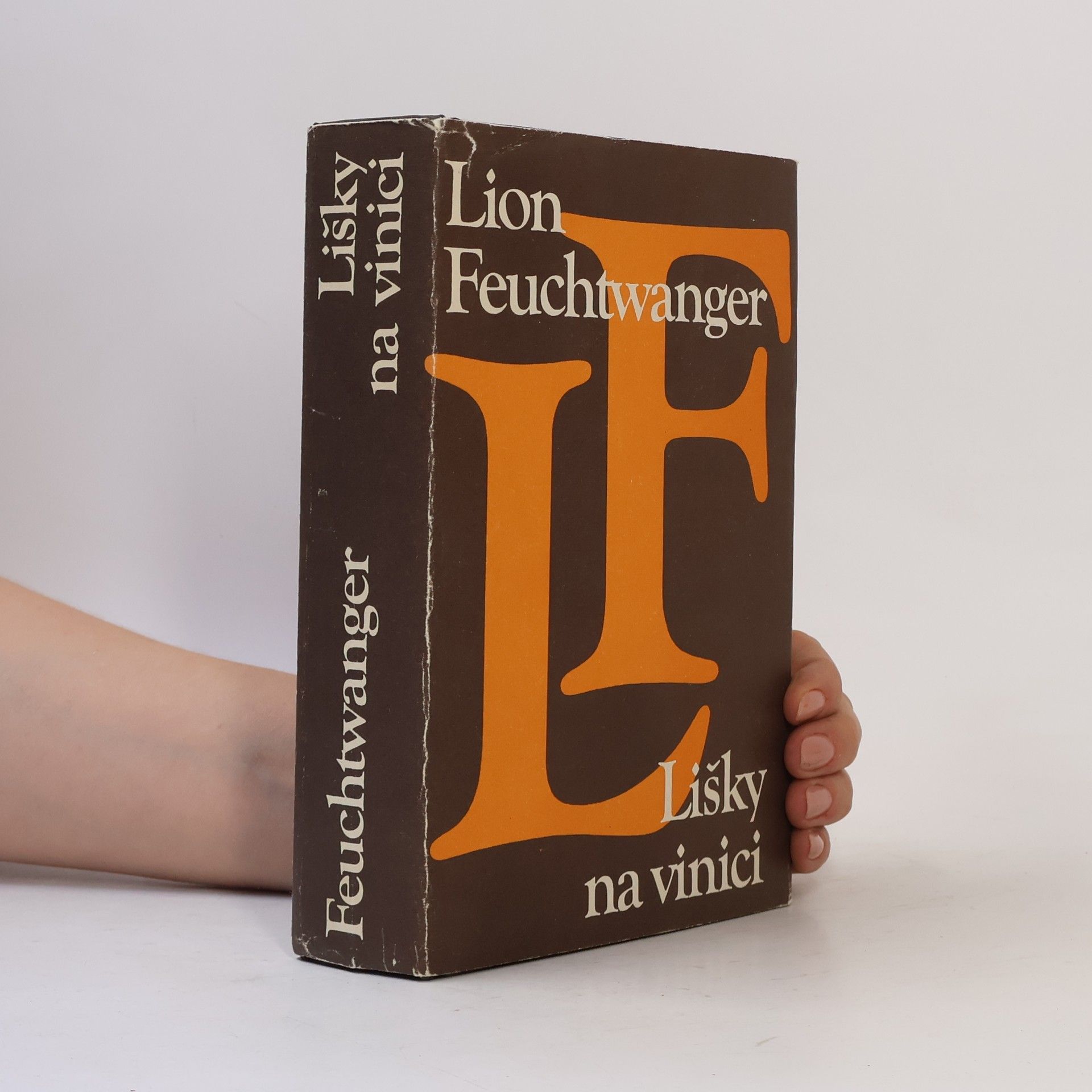 Lion Feuchtwanger Lišky na vinici