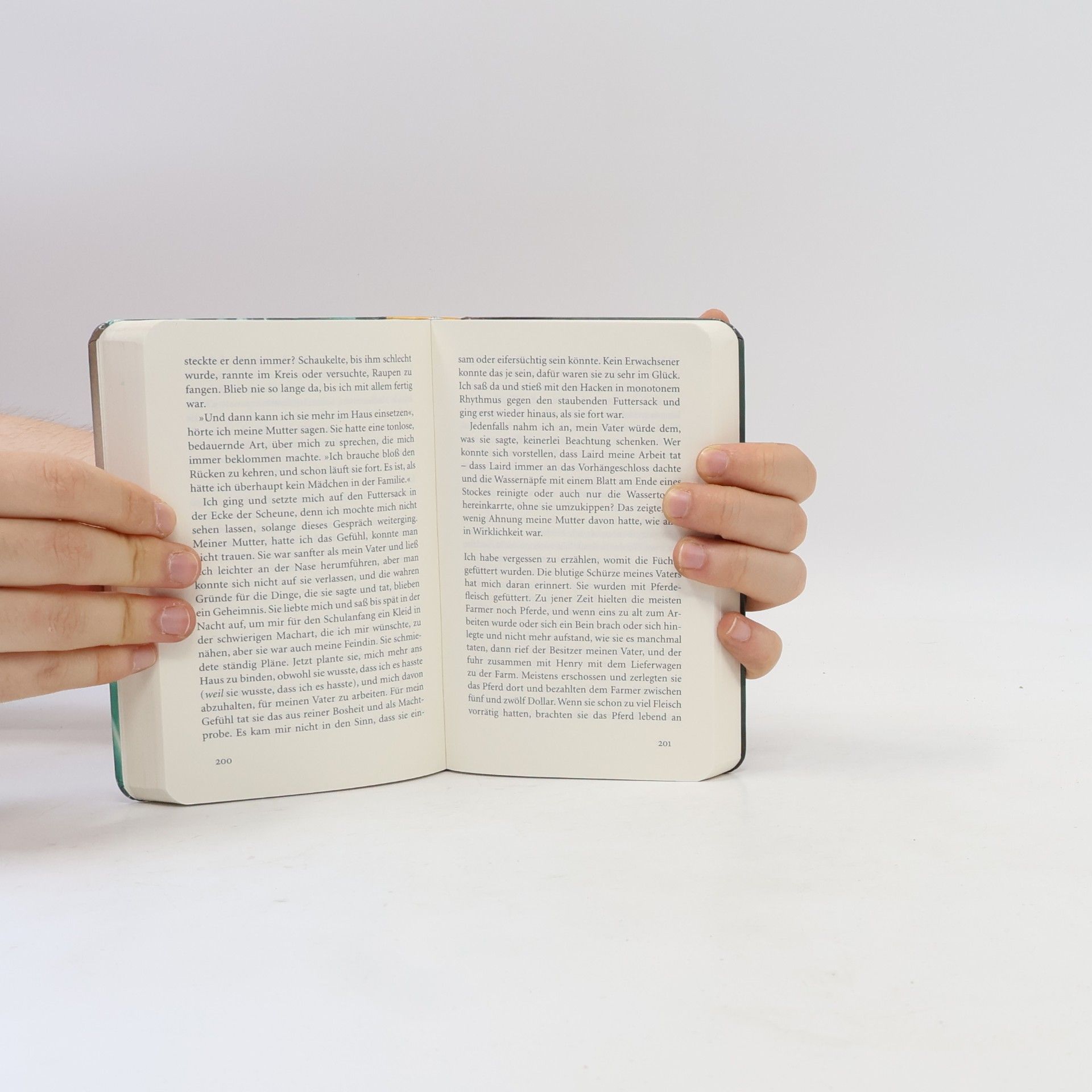 Alice Munro Tanz der seligen Geister