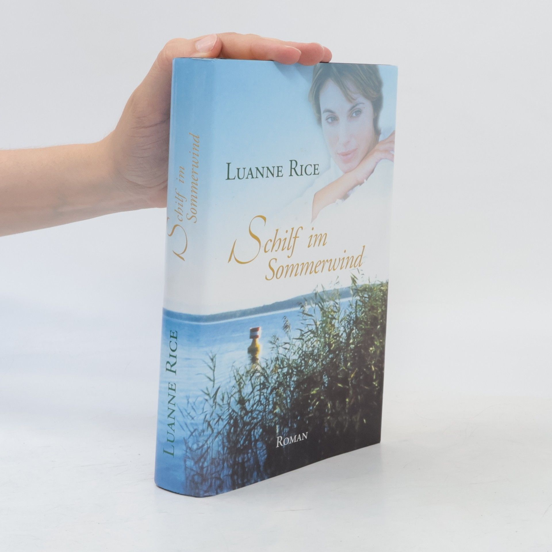 Luanne Rice Schilf im Sommerwind