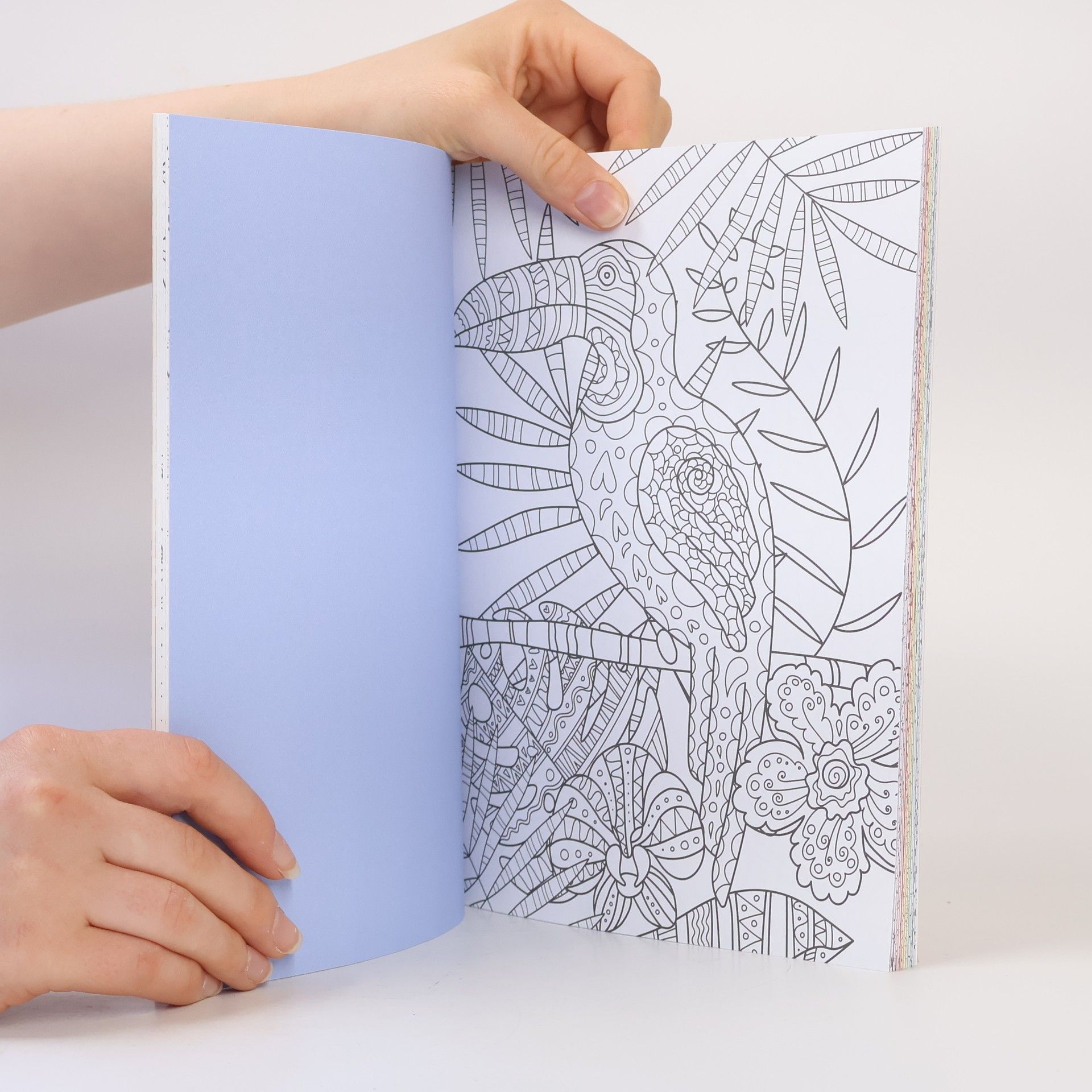 Collectif d'auteurs Relaxační omalovánky – Příroda