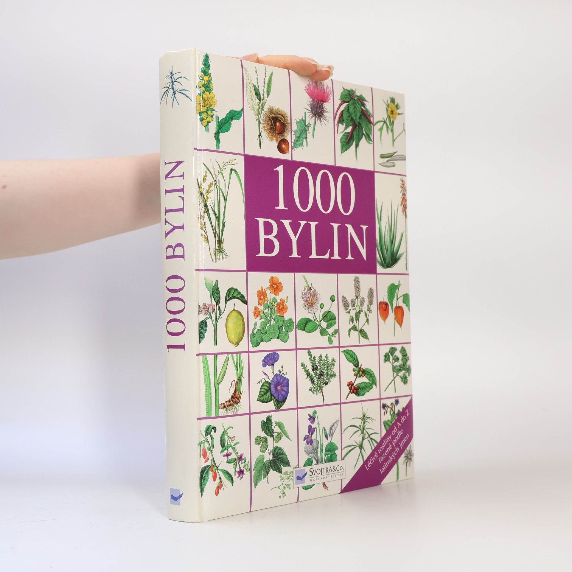Auteurscollectief 1000 bylin