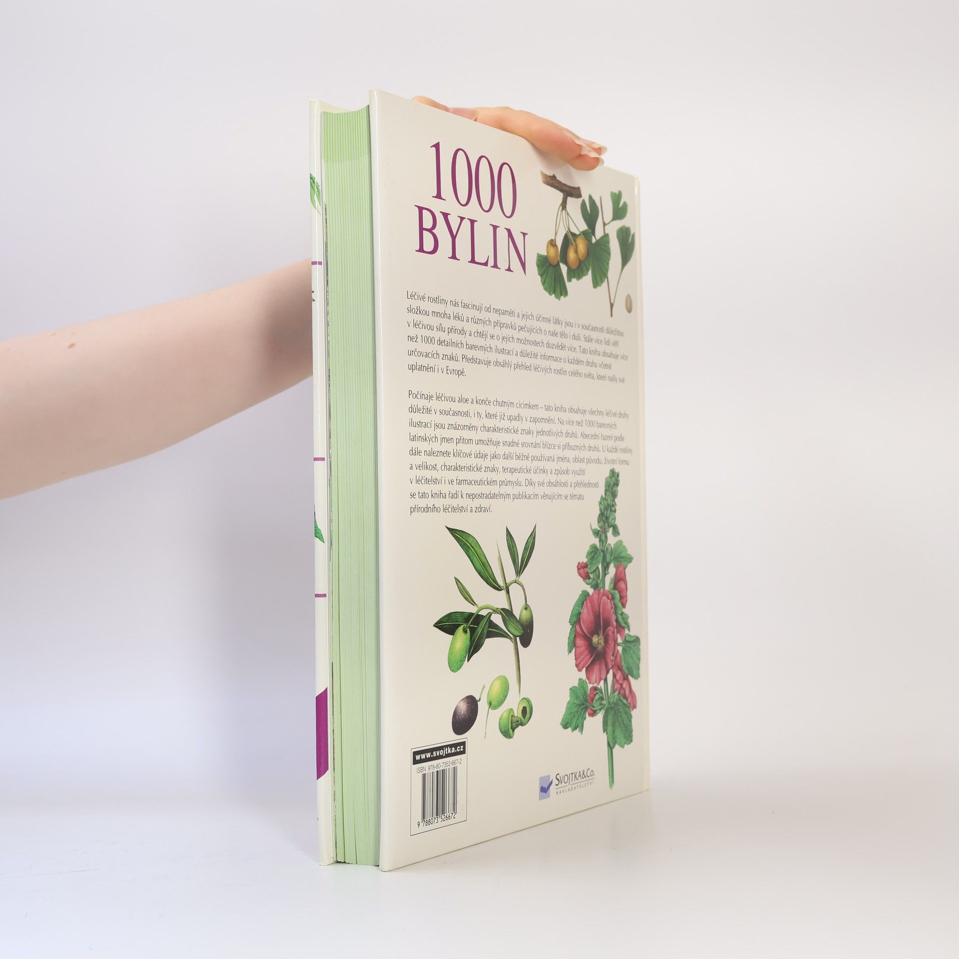 Autorenkollektiv 1000 bylin