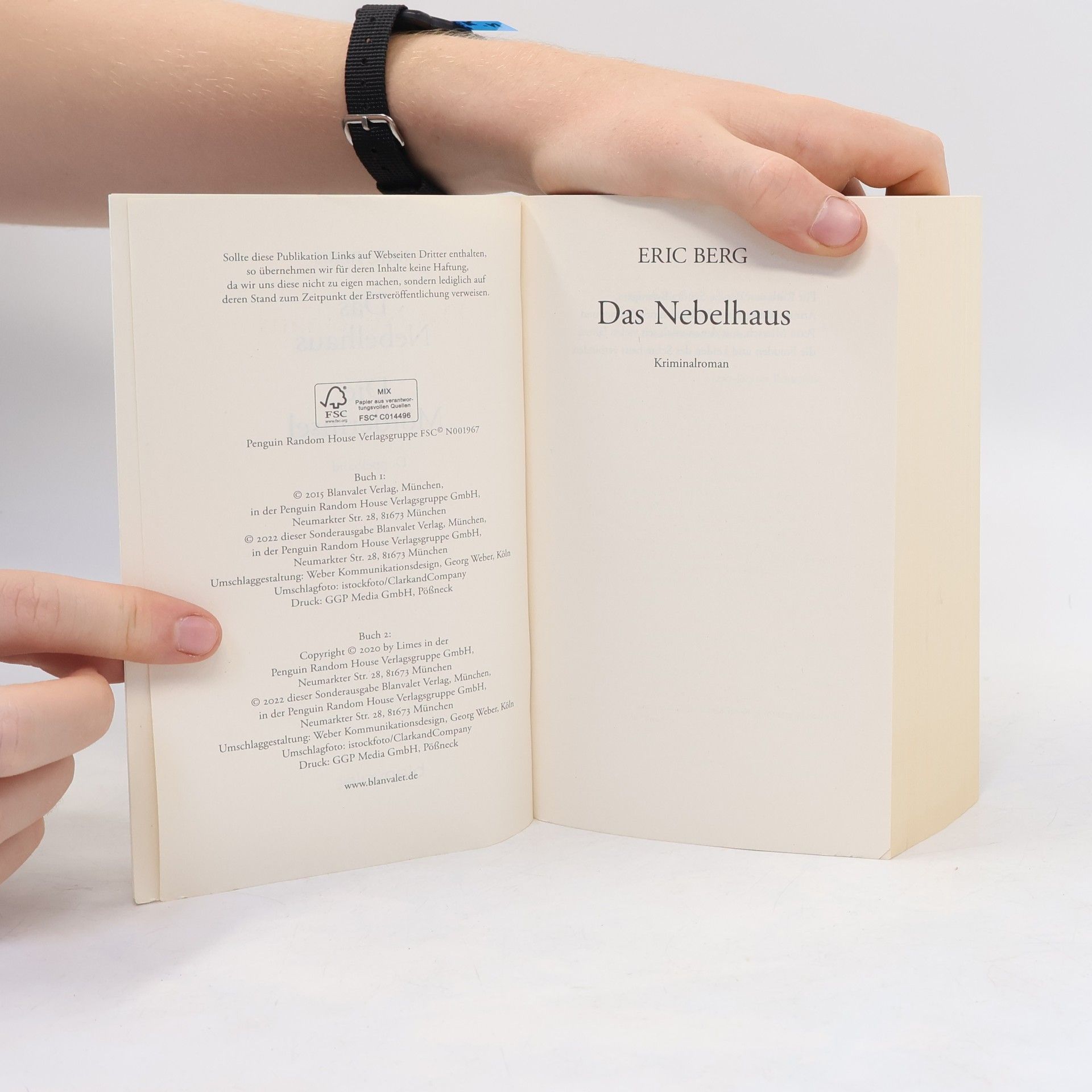 Eric Berg Das Nebelhaus. Die Mörderinsel