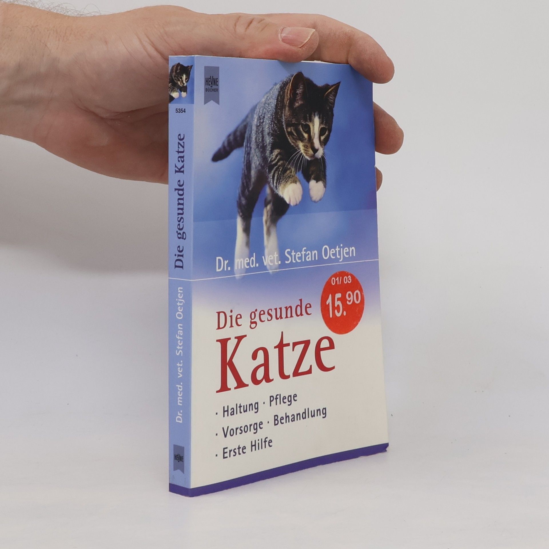 Stefan Oetjen Die gesunde Katze