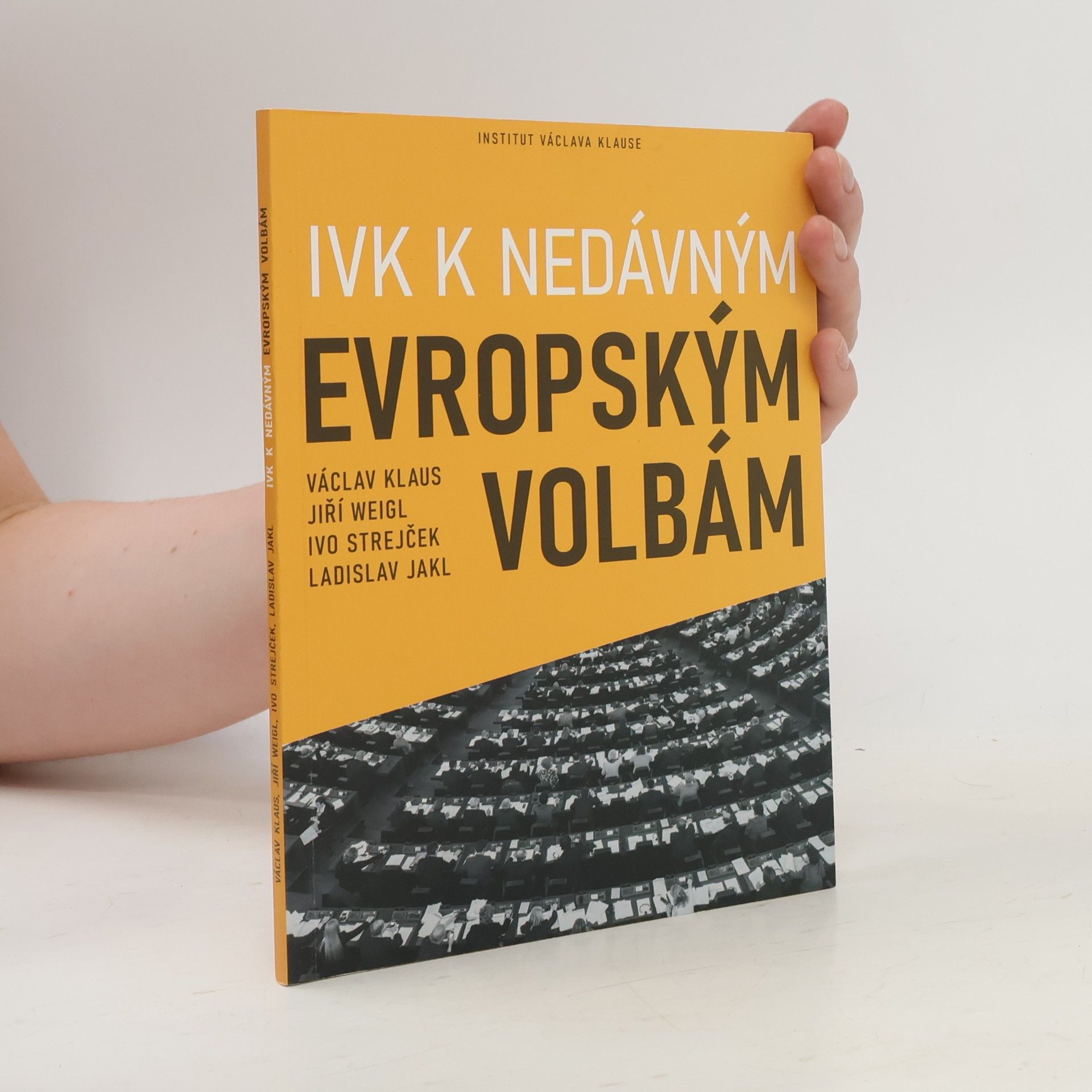 Ivo Strejček IVK k nedávným evropským volbám