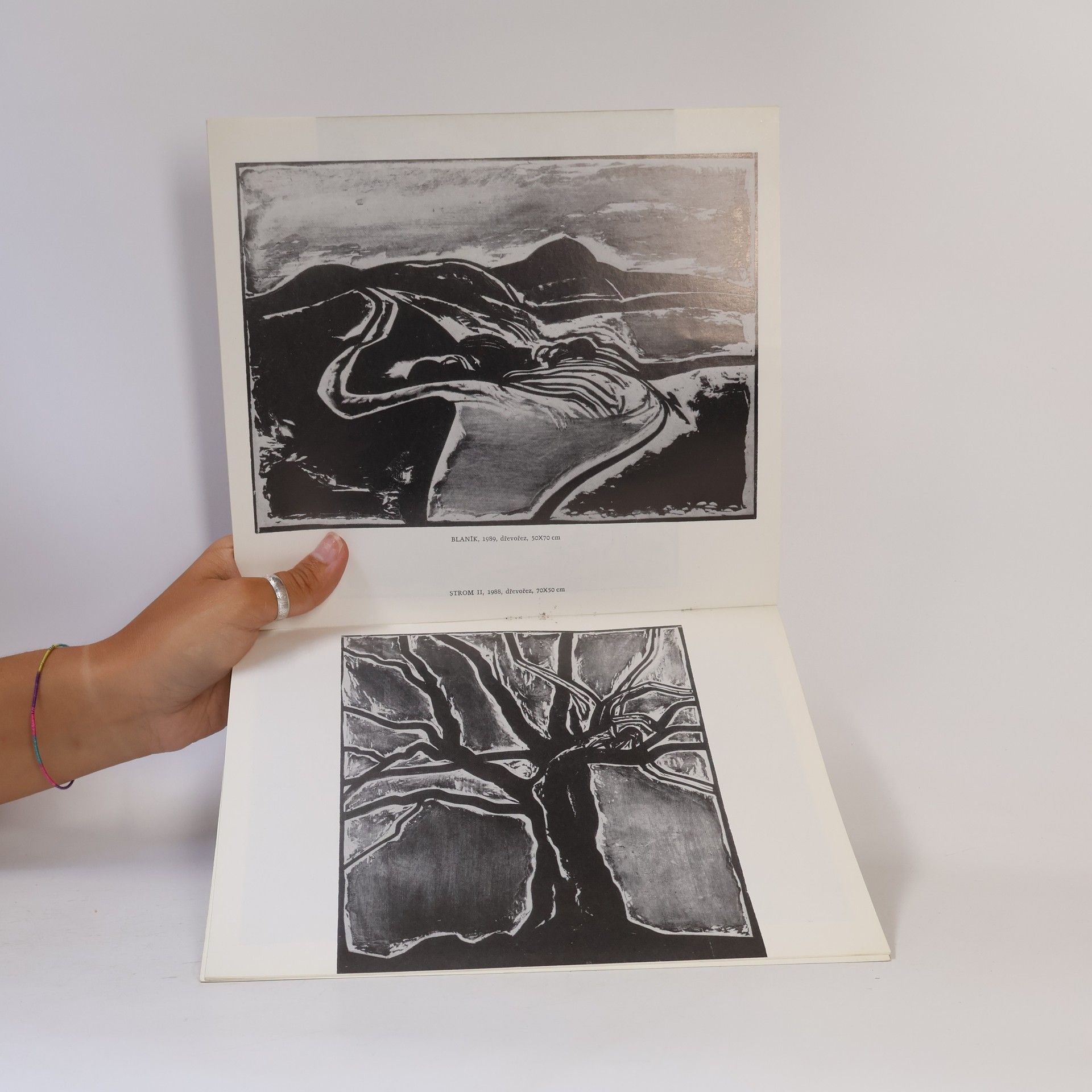 Jaroslav Chudomel Zasloužilý umělec Jaroslav Chudomel : grafika, kresby : Galerie Václava Špály, Praha, září - říjen 1989