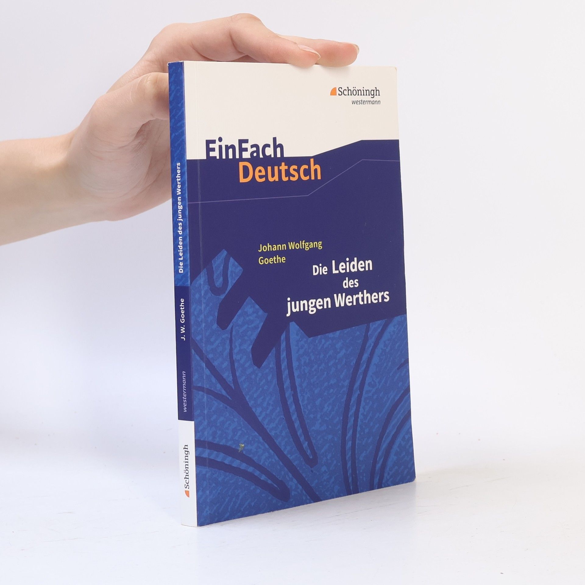 Johann Wolfgang von Goethe Die Leiden des jungen Werthers