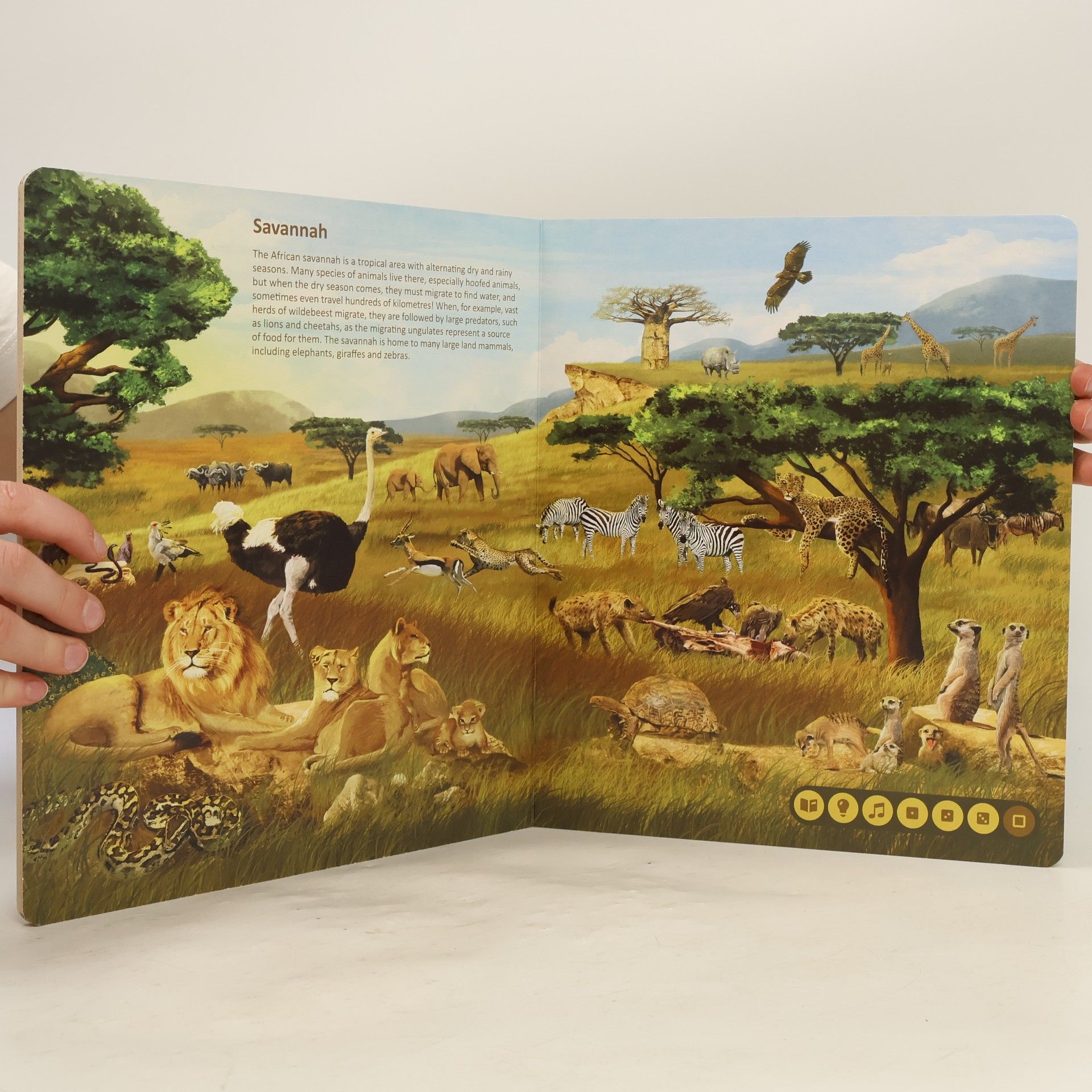 AA.VV. Animal kingdoms. Interactive talking book