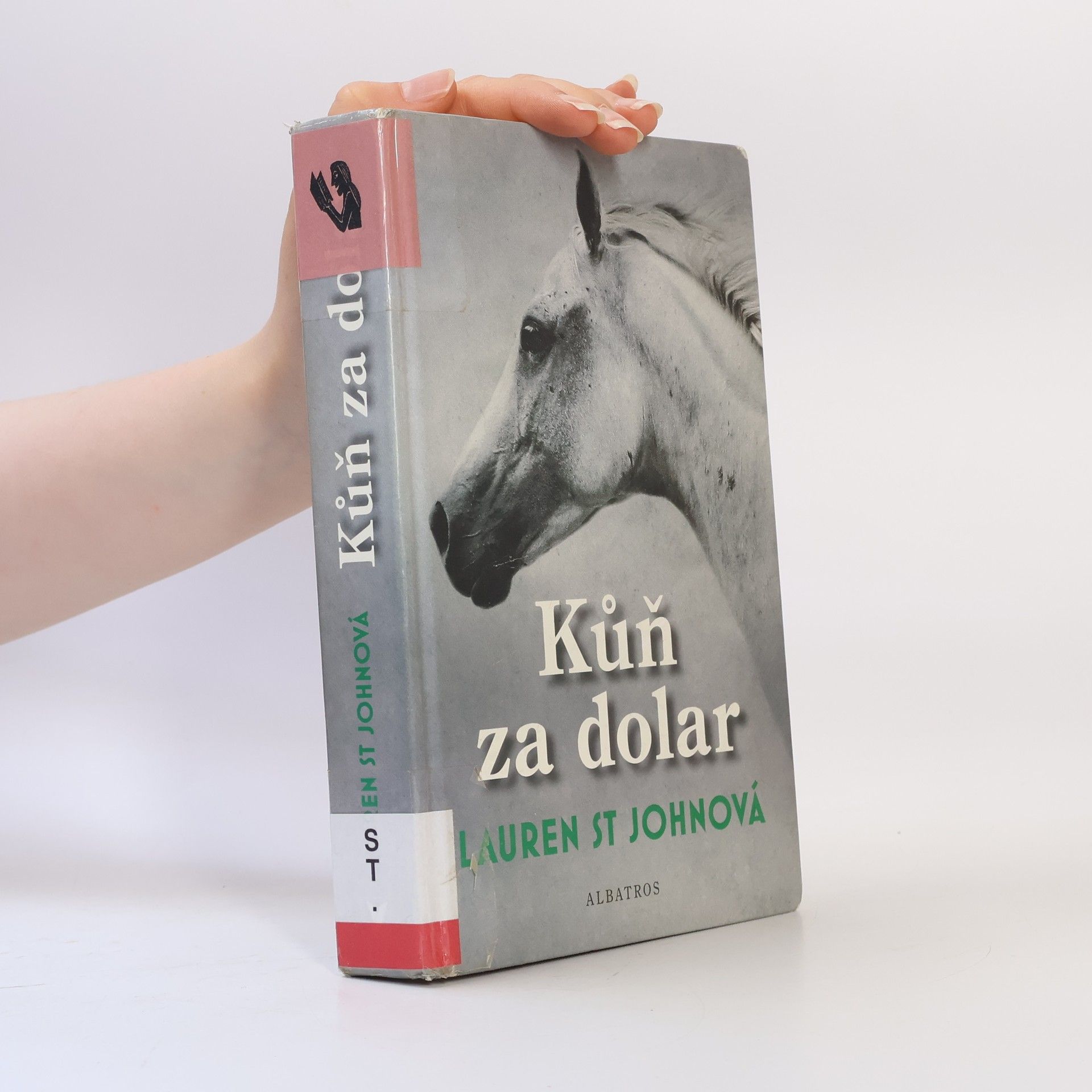 Lauren St. John Kůň za dolar