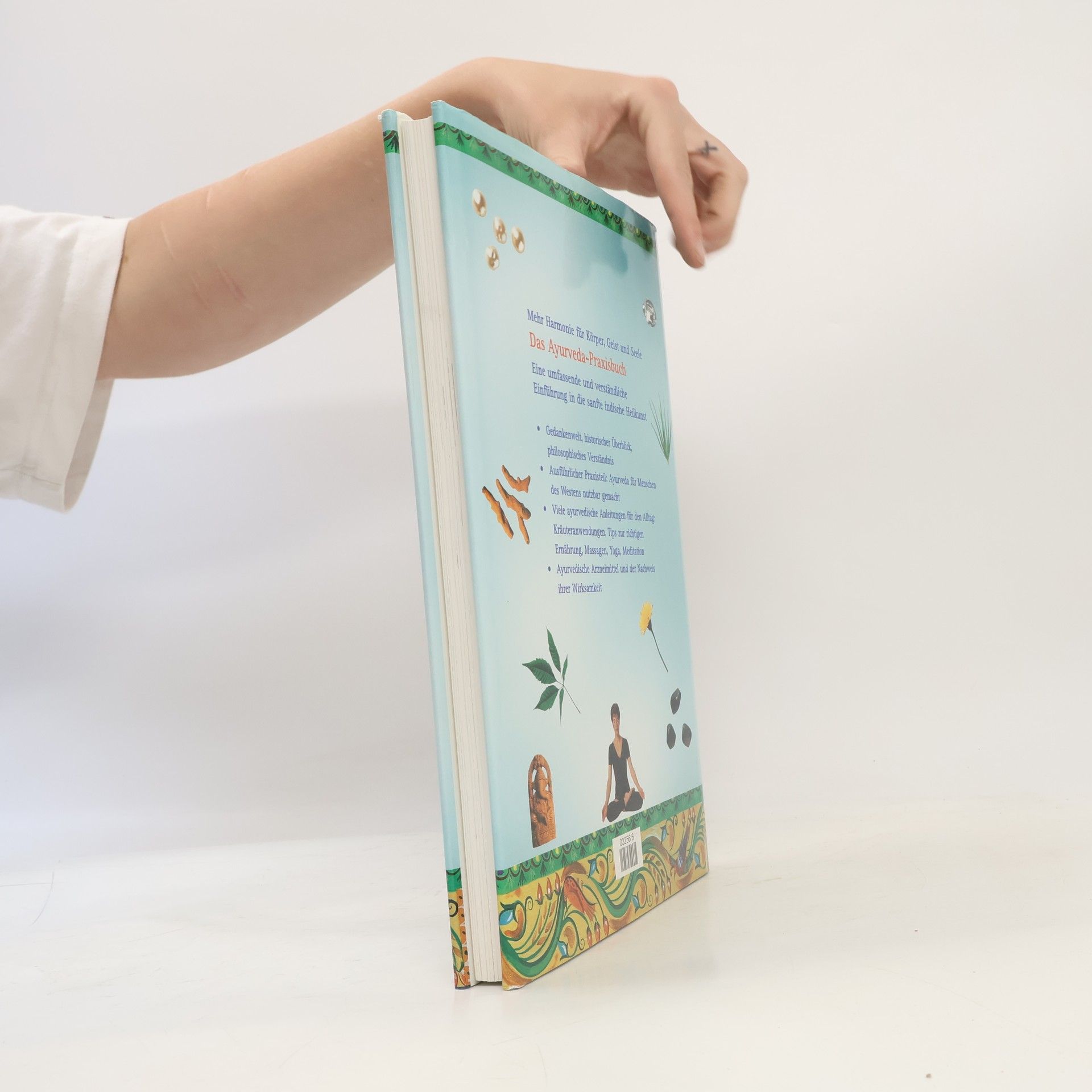 Gopi Warrier Das grosse Handbuch Ayurveda